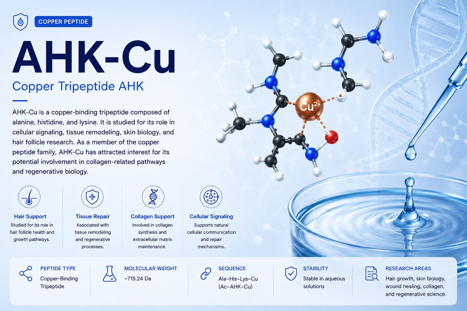 An infographic about copper peptide AHK-Cu, featuring a molecular model of the compound with a copper ion, DNA strand illustration, and icons representing hair support, tissue repair, collagen support, and cellular signaling. The text explains the scientific role of AHK-Cu in cellular functions and regenerative biology.