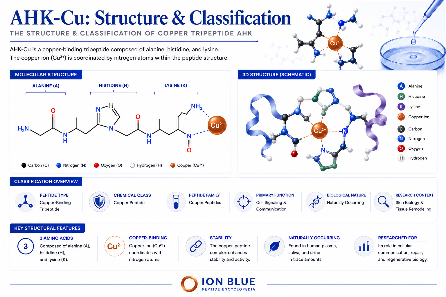 Infographic detailing the structure and classification of copper tripeptide AHK-Cu, including molecular and 3D schematic structures, classification overview, key structural features, and significance in biological processes.