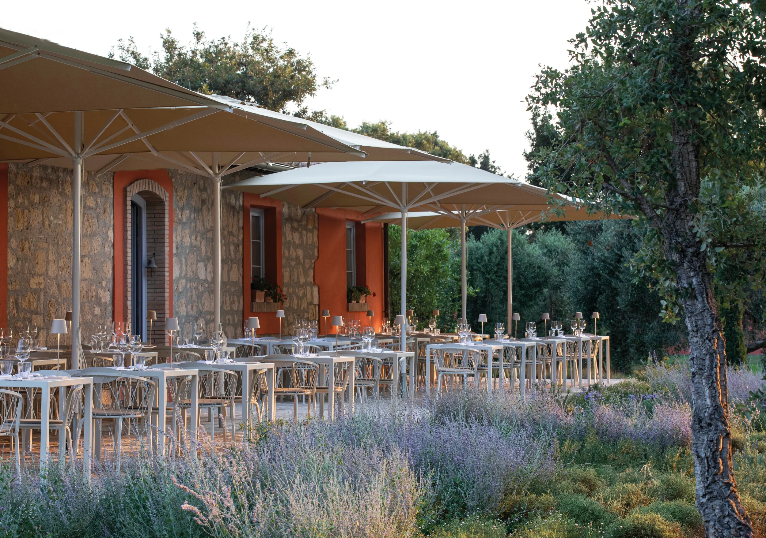 mm25-3245  _1 .webp (Copy)