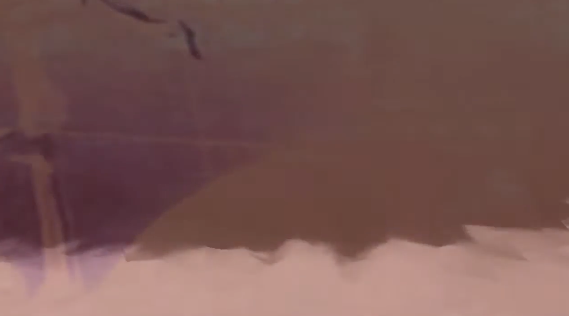MOON ZERO ENDLES PALMS VIDEO STILL
