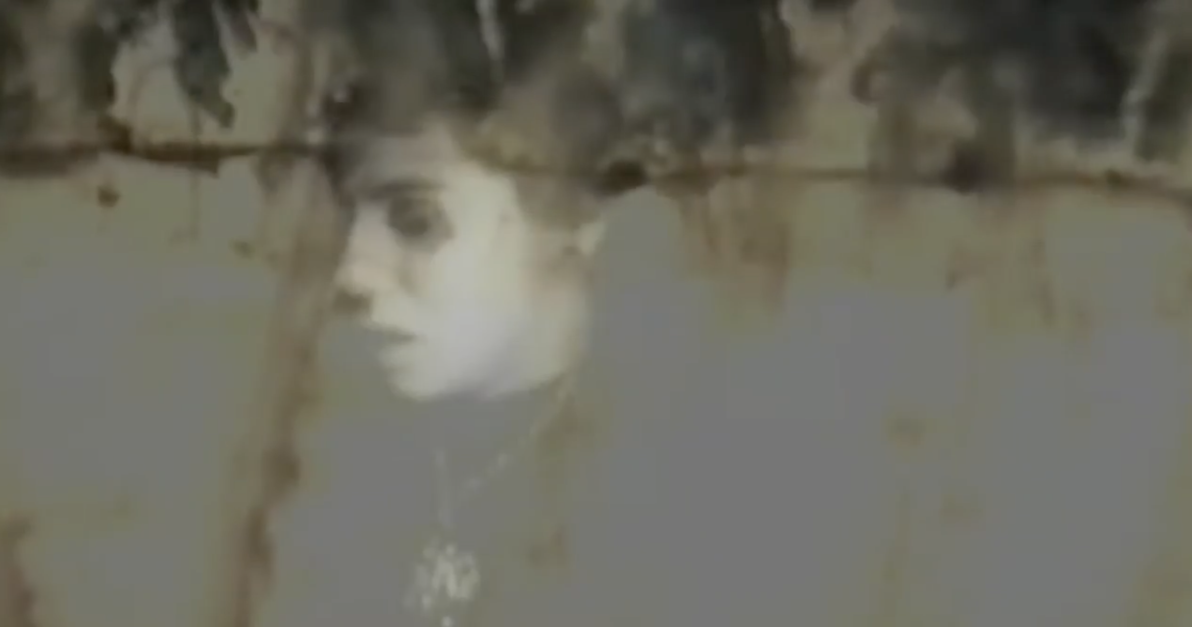 ENDLESS PALMS VIDEO STILL