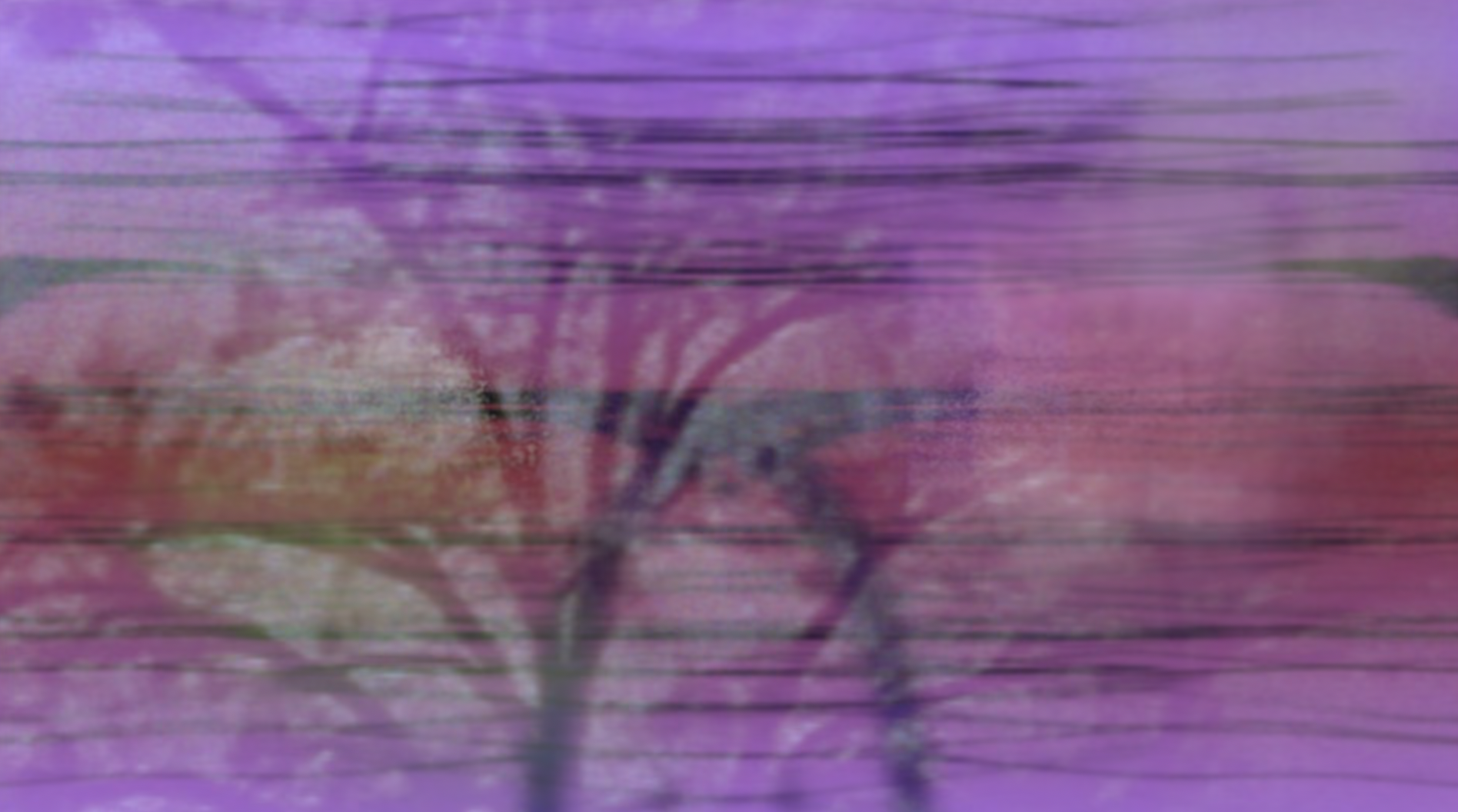 Yusulfa7.png