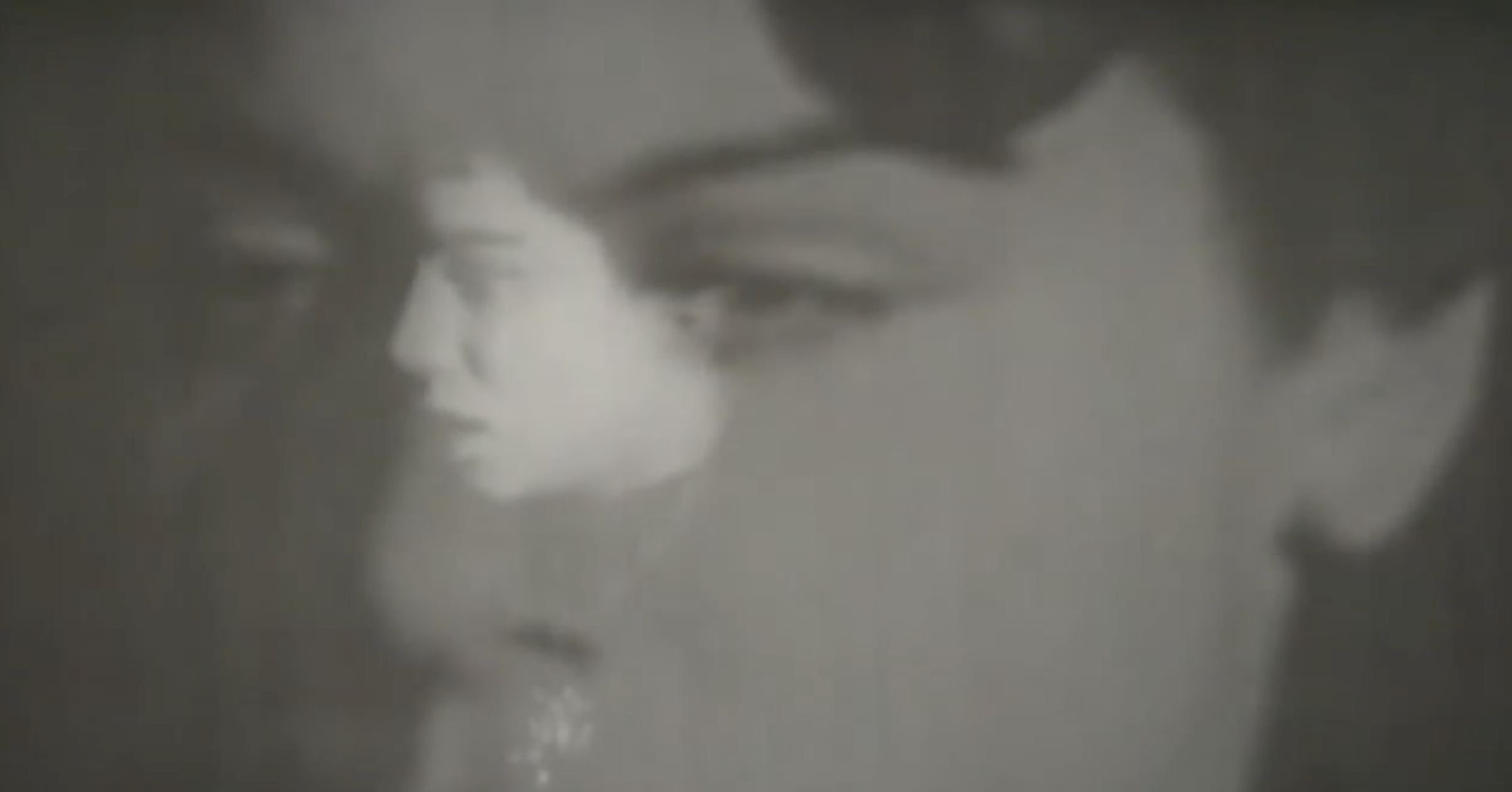 ENDLESS PALMS VIDEO STILL