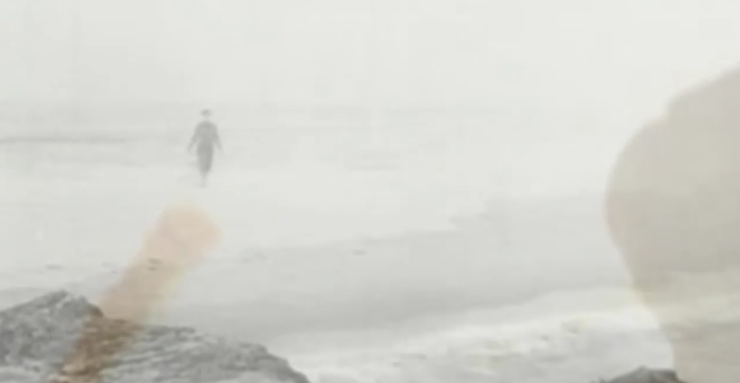 ENDLESS PALMS VIDEO STILL