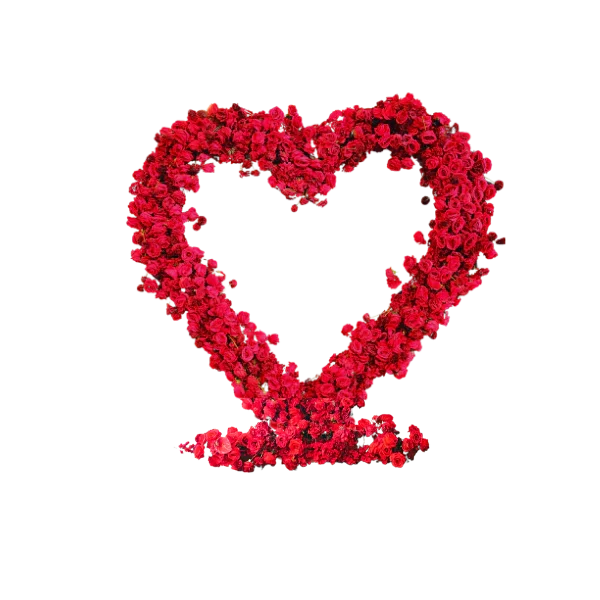 A heart shape made of red flowers.