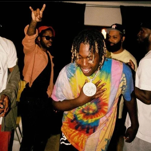 Don Toliver Vocal Preset (Pro Version)