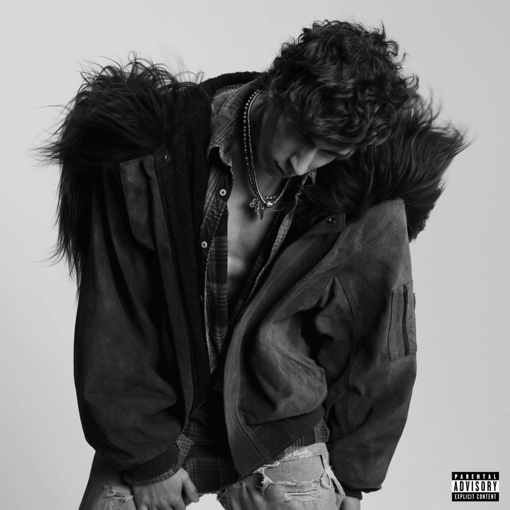 Nate Sib Vocal Preset (Pro Version)