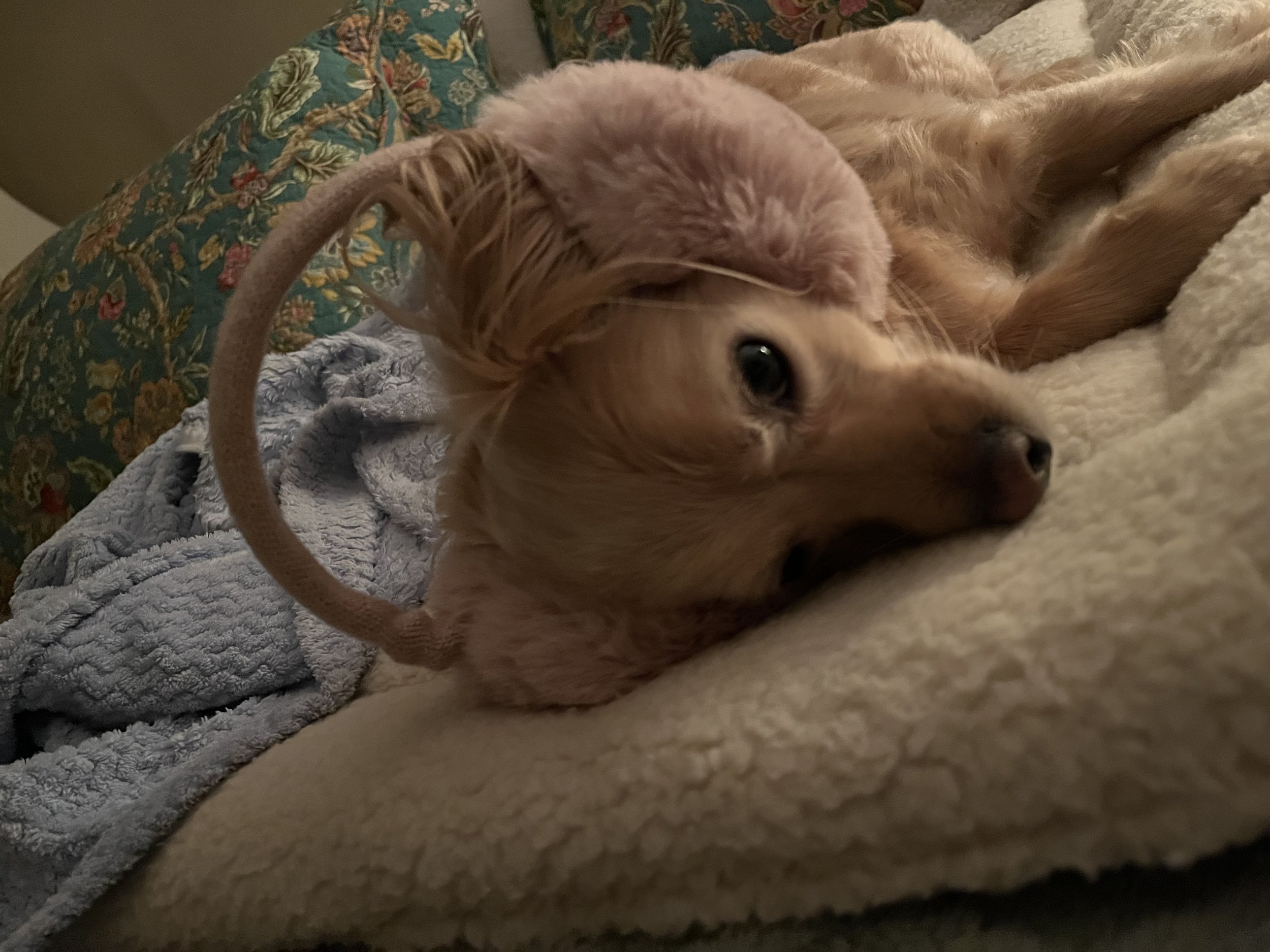 IMG_3420 ann.jpeg