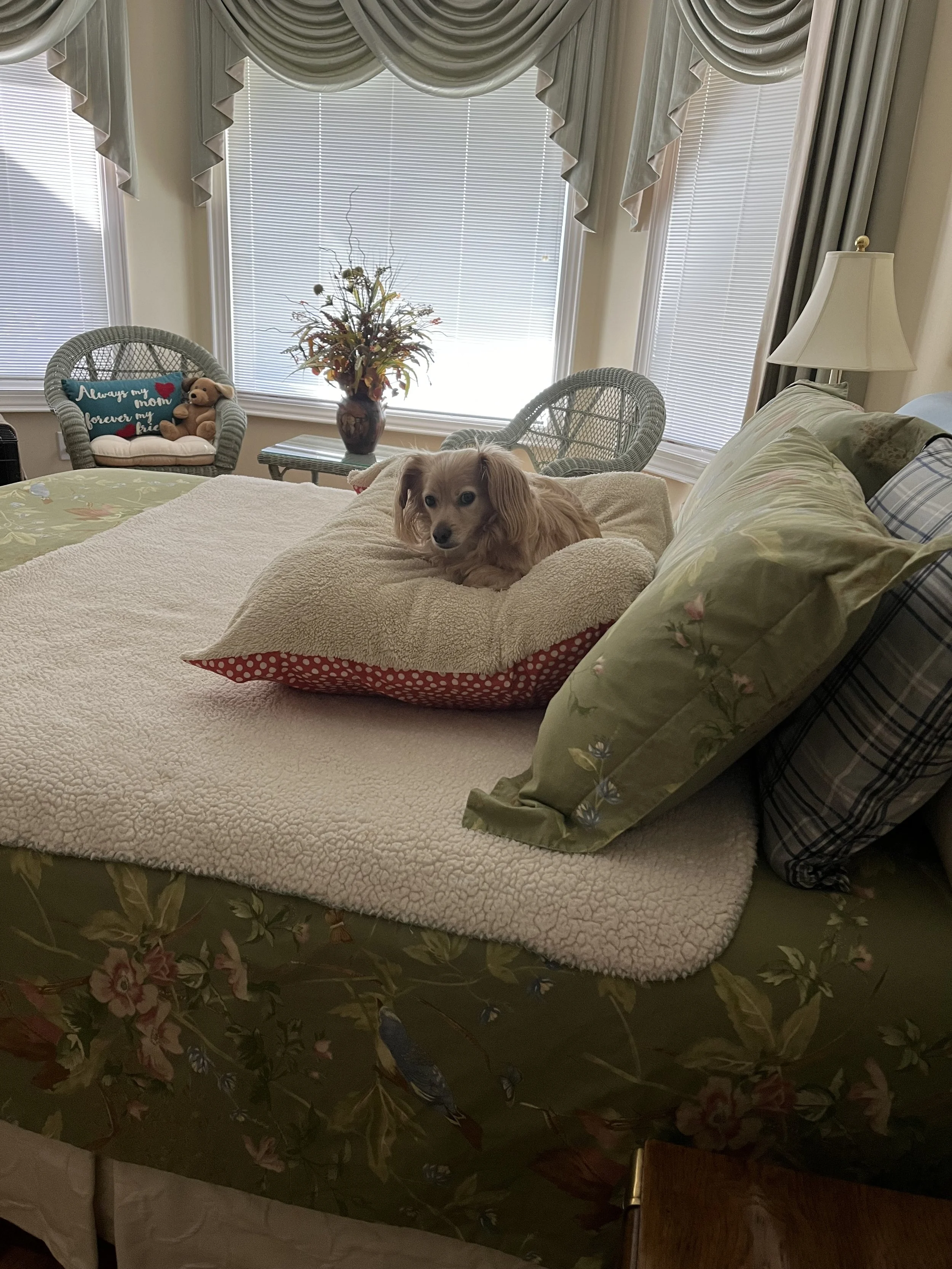 IMG_4081 ann.jpeg