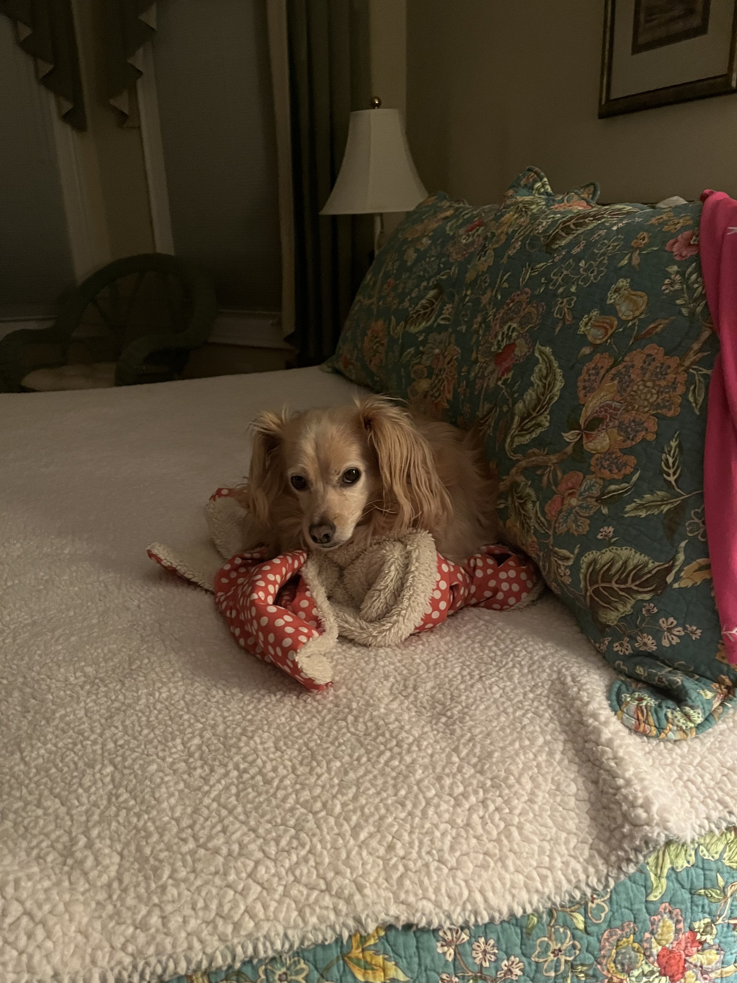 IMG_4133 ann.jpeg