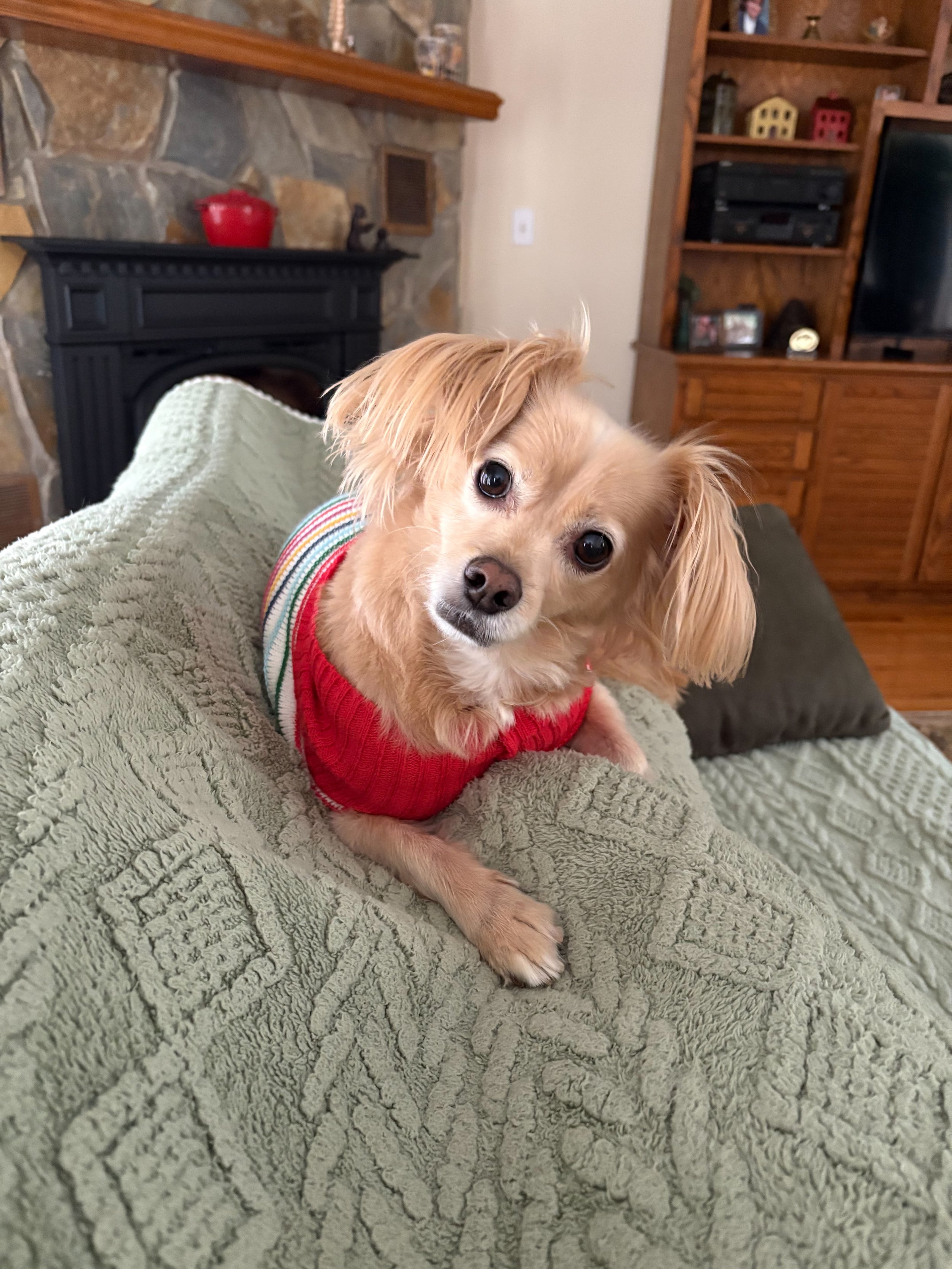 IMG_0001 ann.jpeg