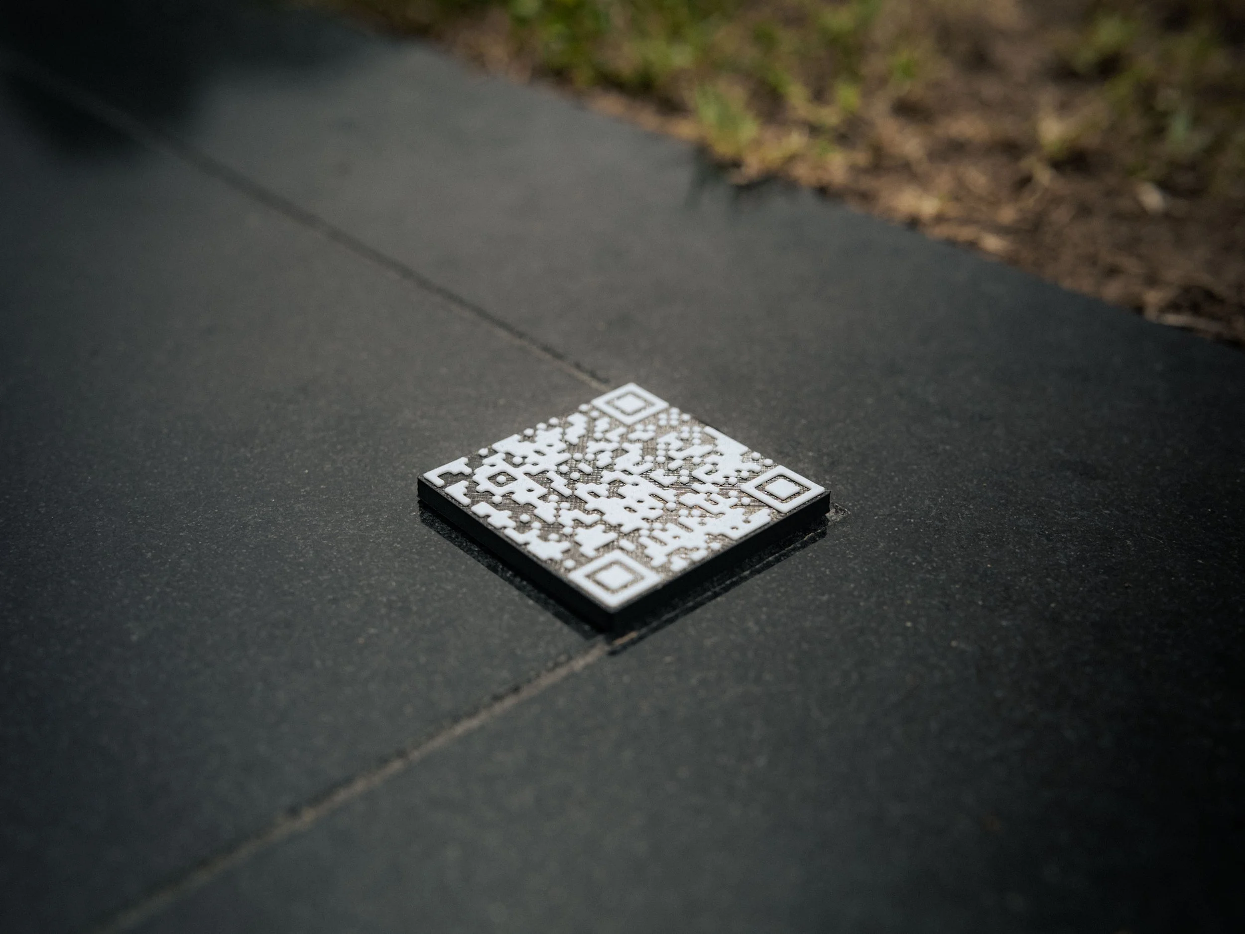 _DSC2772-2.jpeg