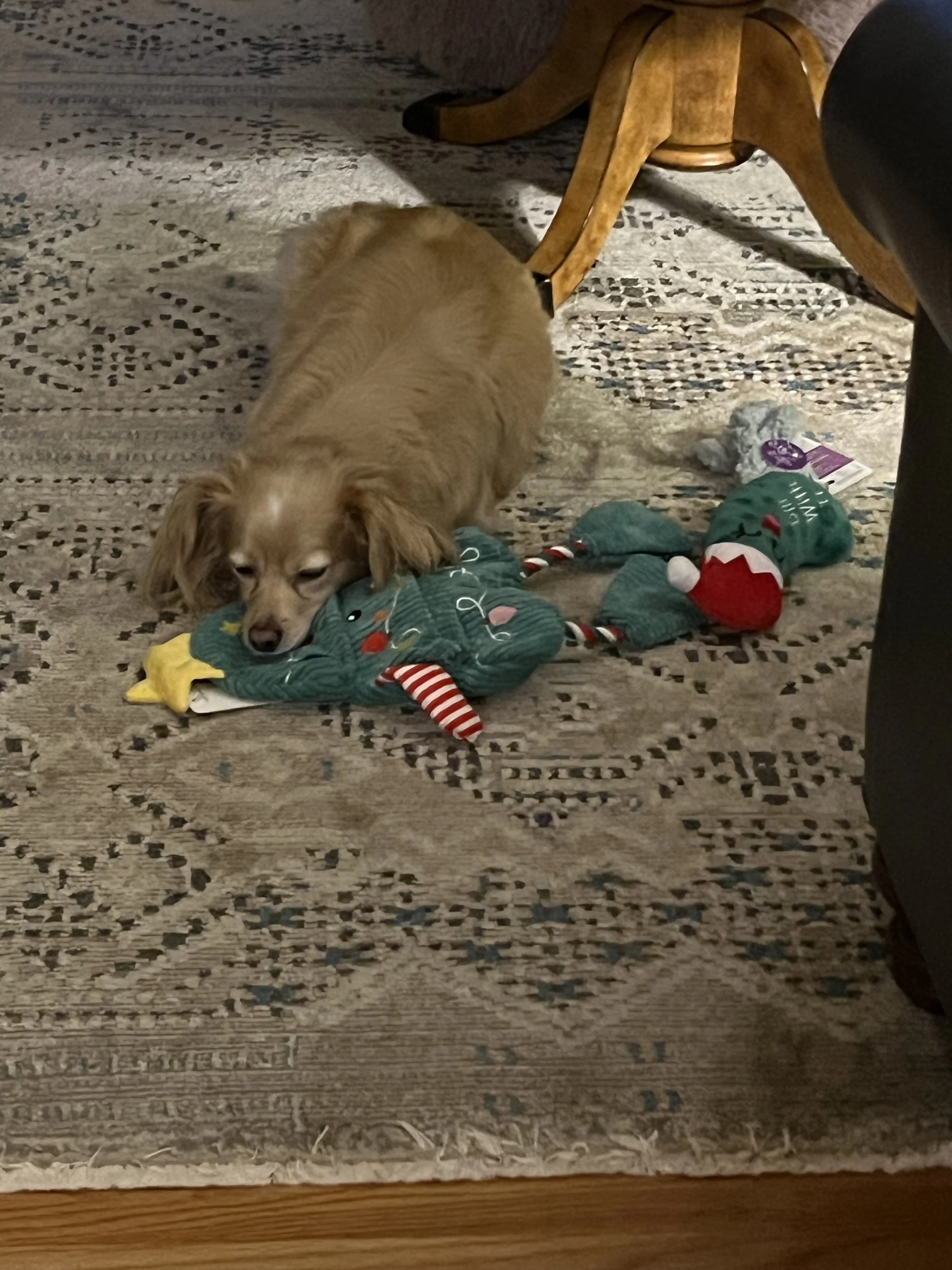 IMG_4431 ann.jpeg
