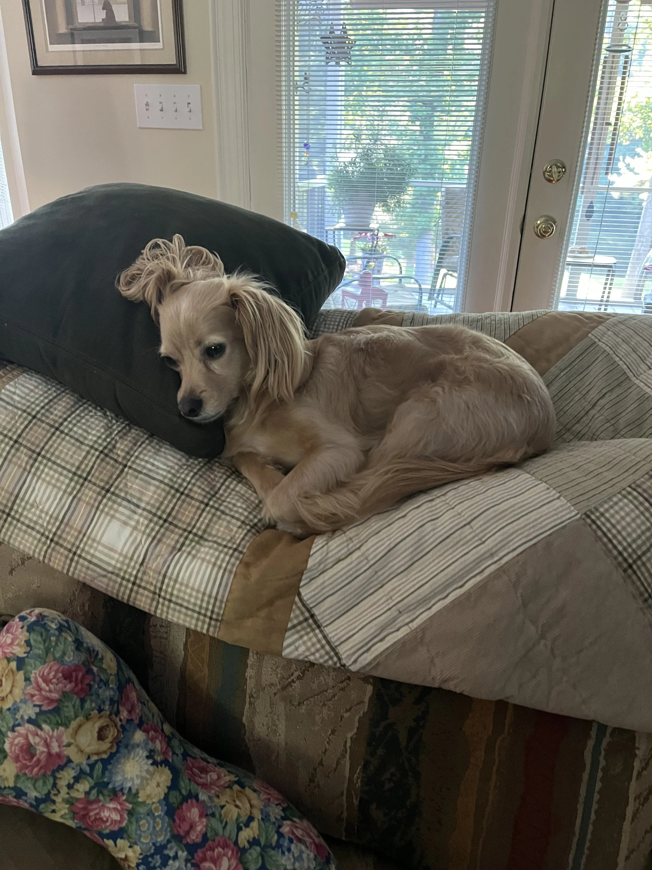 IMG_2712 ann.jpeg