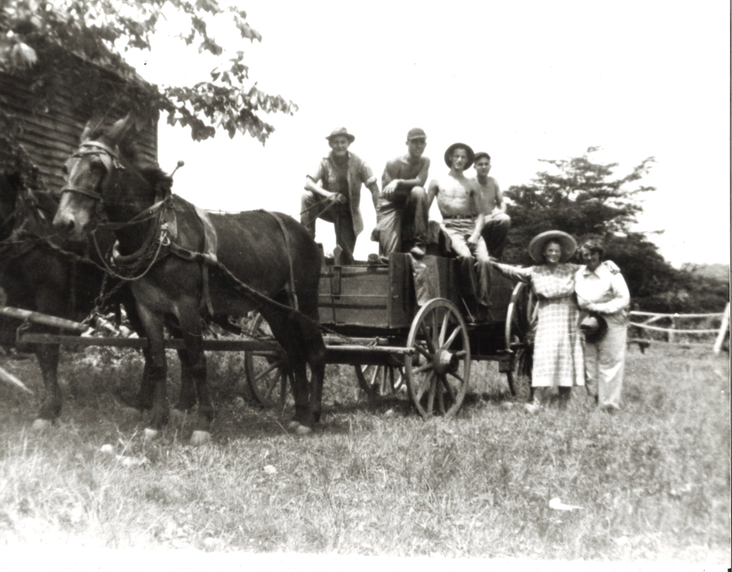 gentry.frank.wagon David Gentry.jpg