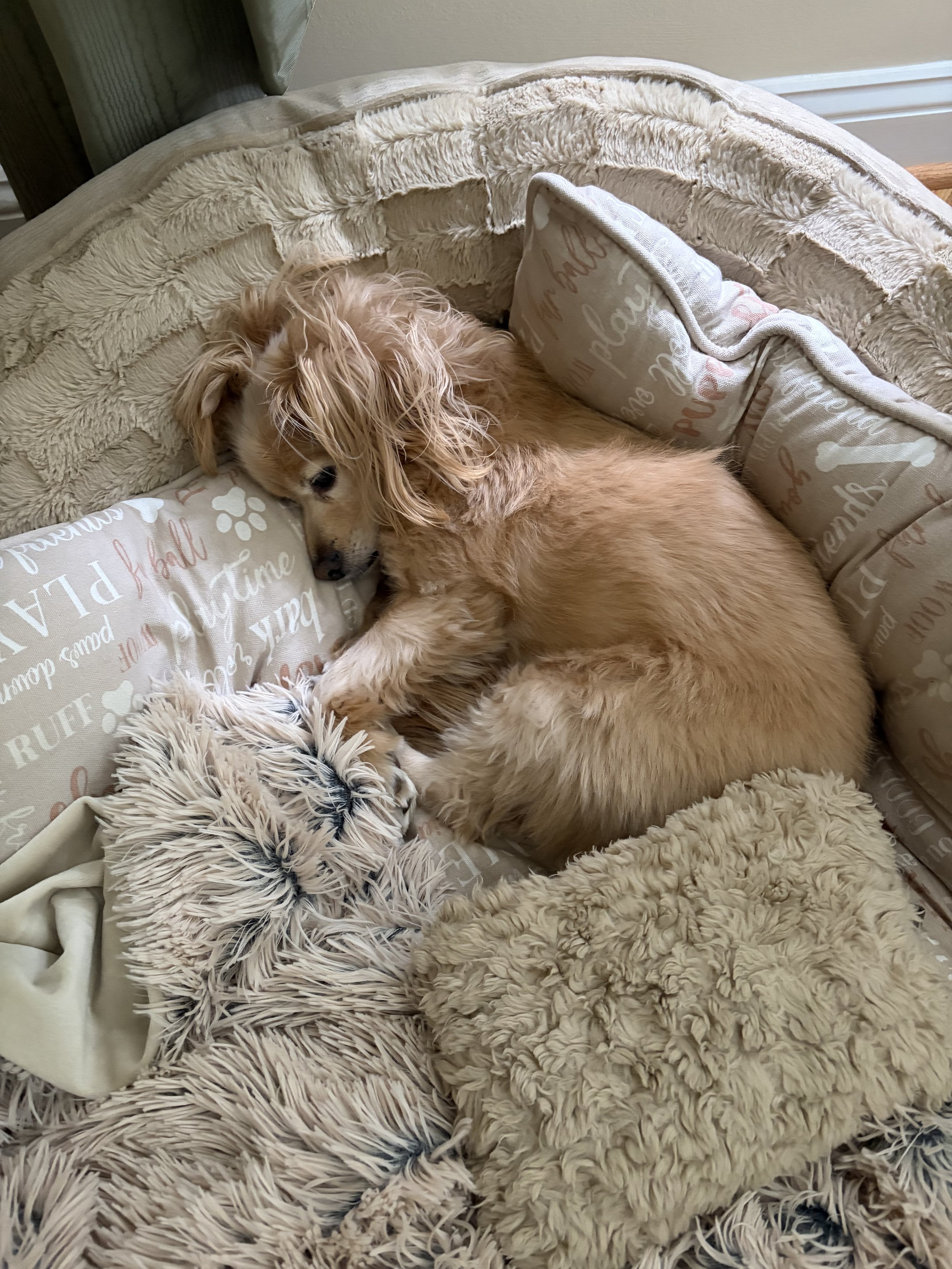 IMG_0903 ann.jpeg