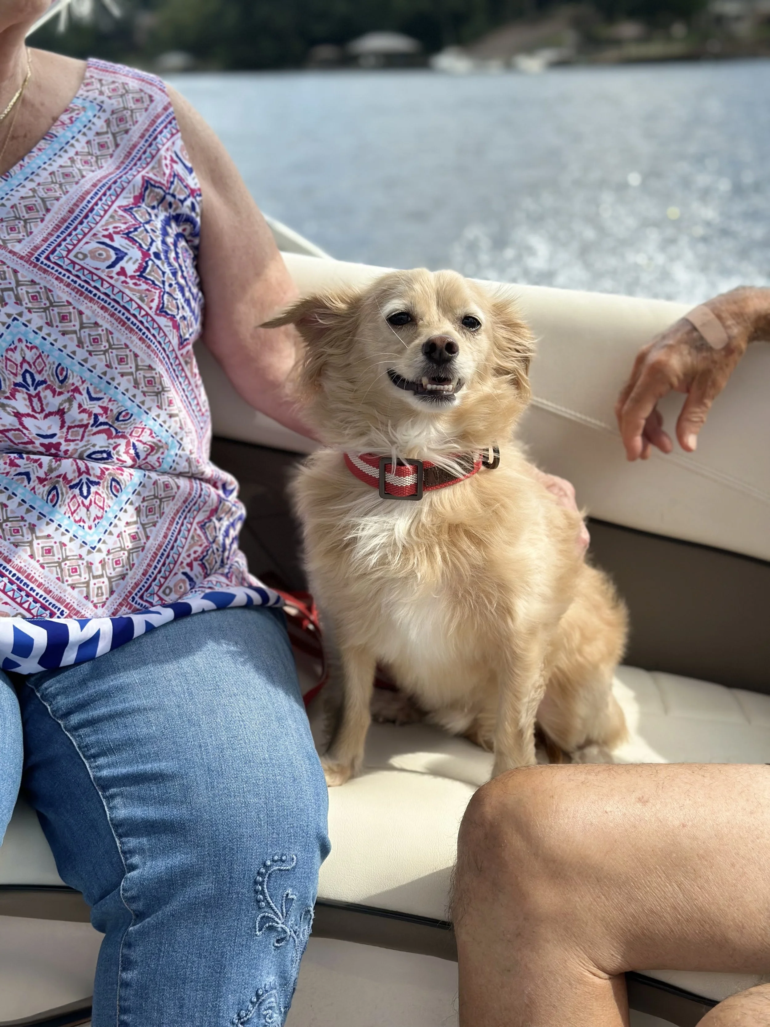 IMG_2329 ann.jpeg