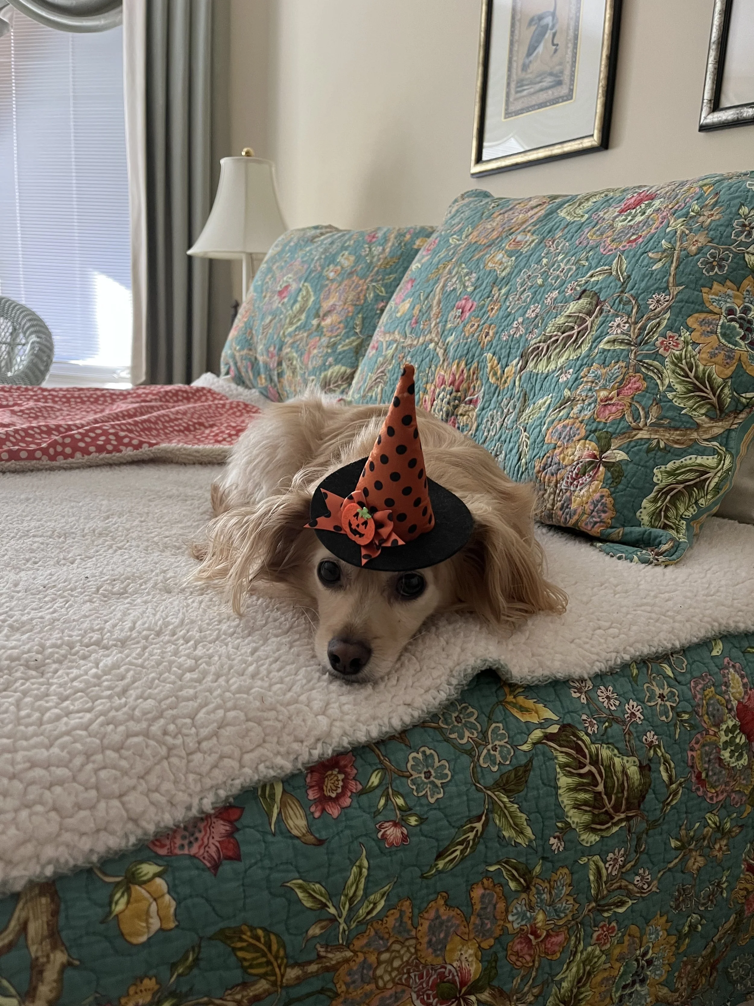 IMG_4158 ann.jpeg