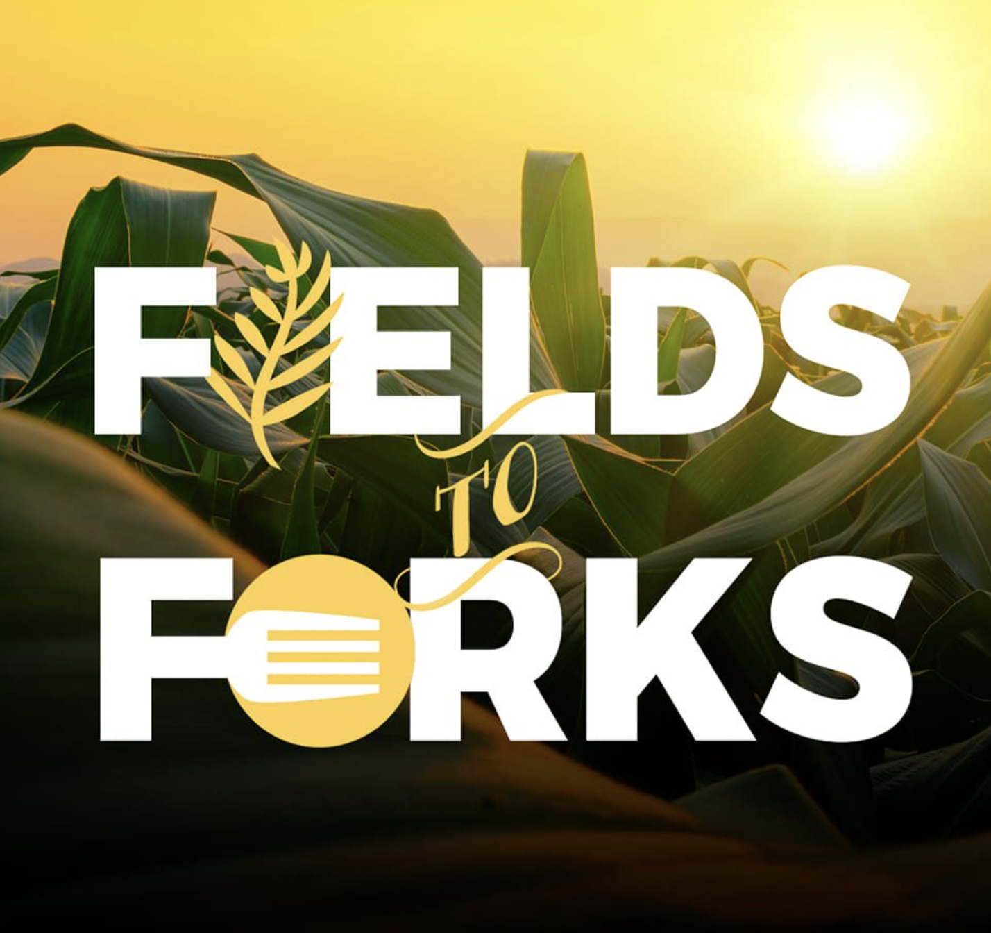 Sunset over a cornfield with overlaid text that reads 'Farms to Forks' and a graphic of a wheat stalk and a fork.