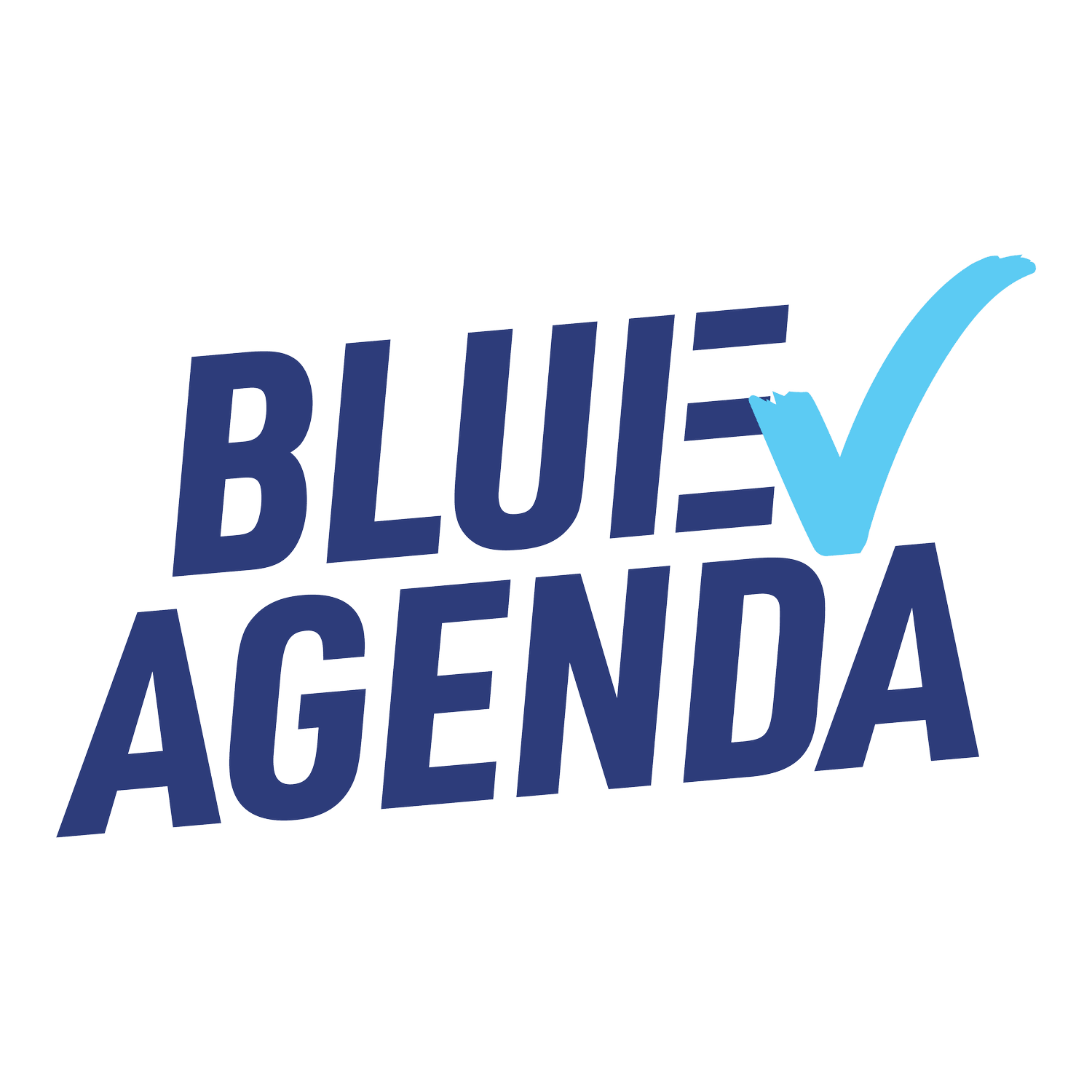 Blue Agenda LLC