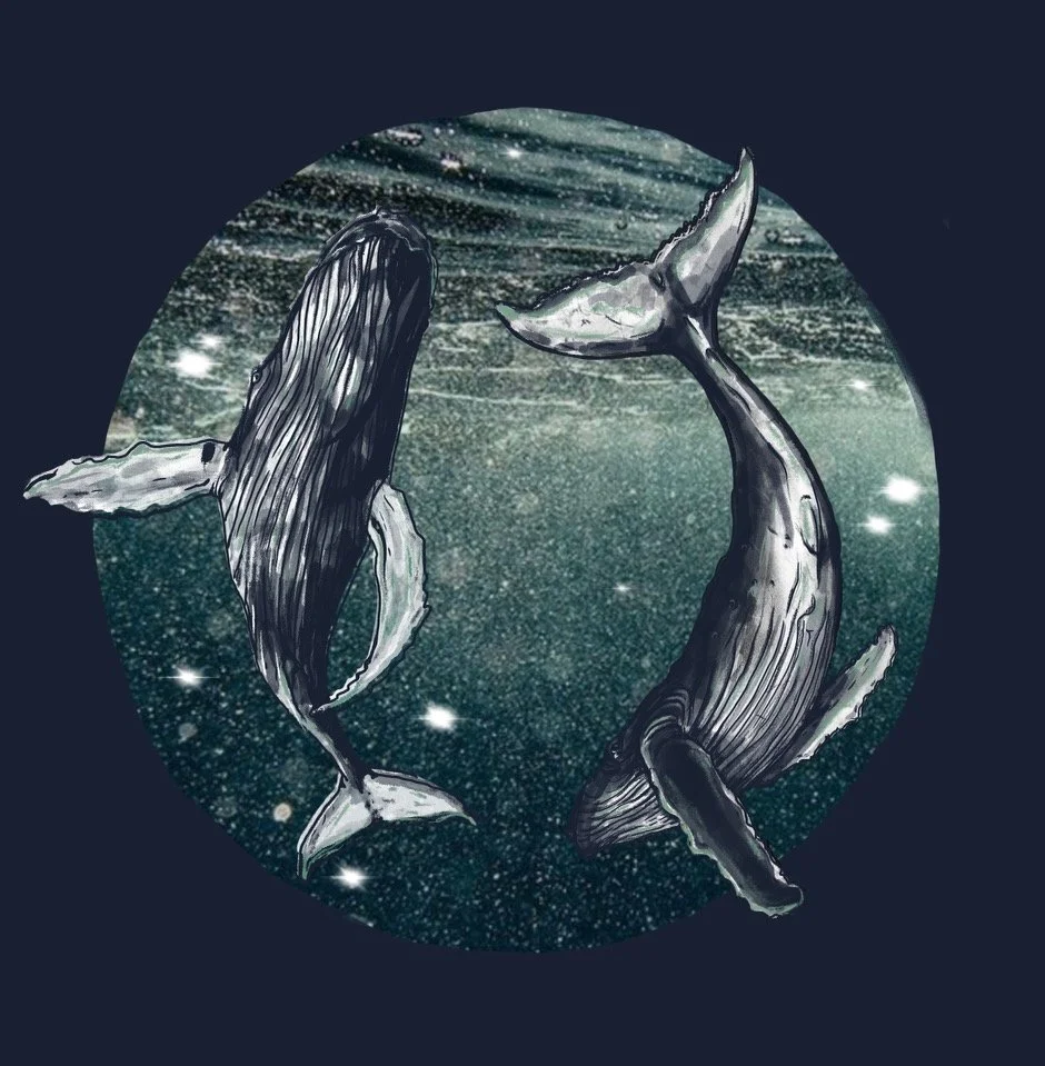 Spiritual Echolocation.jpeg