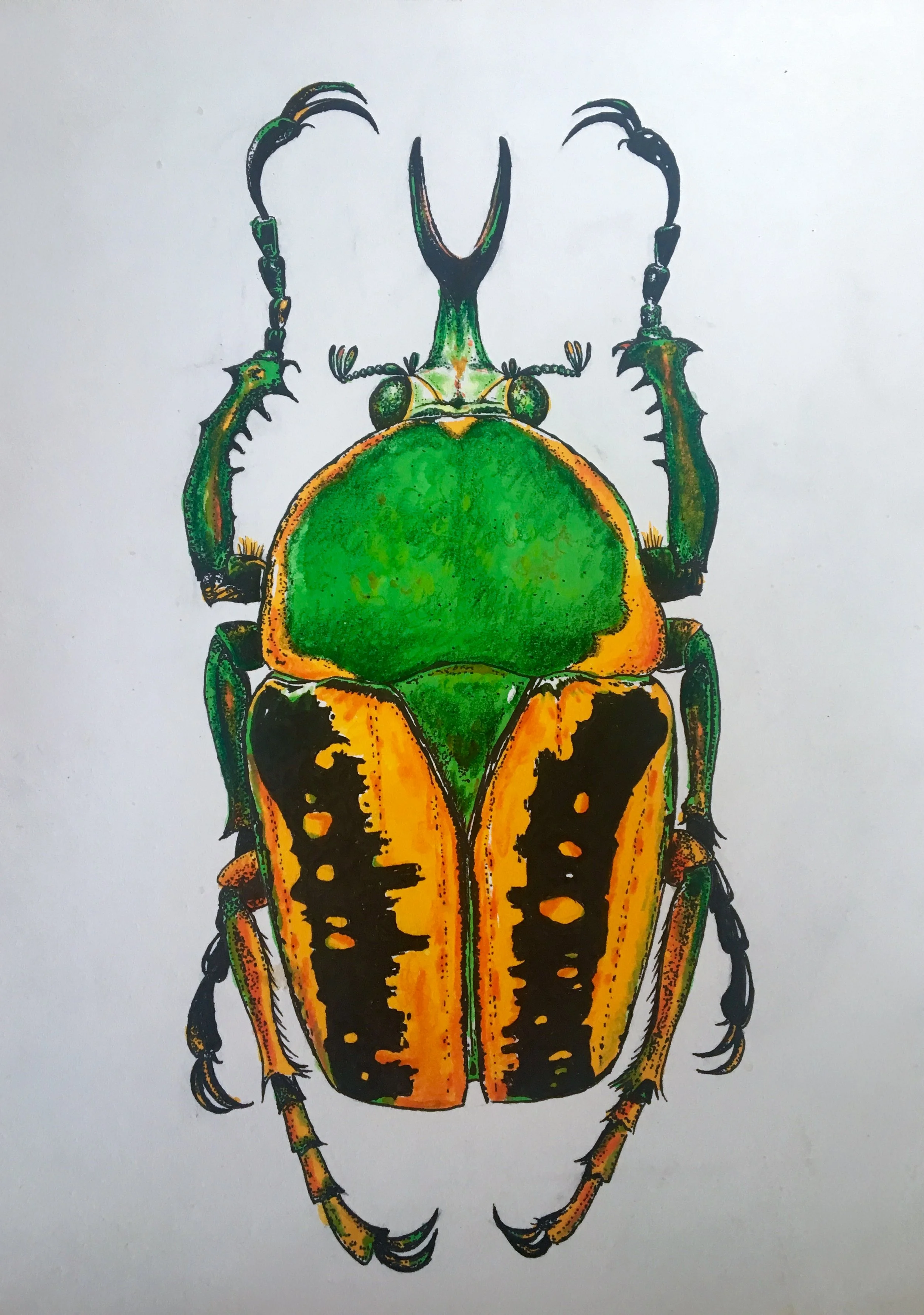 SPE_EARLY WORK (9 of 29).JPG