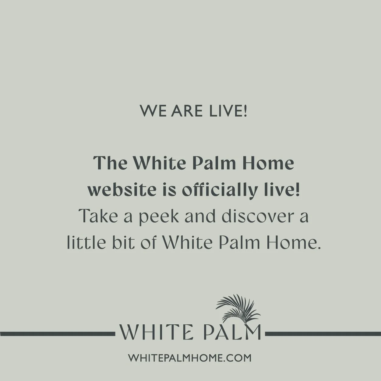 Dear Friends,
The White Palm Home website is officially live and I couldn&rsquo;t be more thrilled to introduce WhitePalmHome.com to all of you!

I&rsquo;ve been very intentional about every detail of this first chapter - from the words and stories b