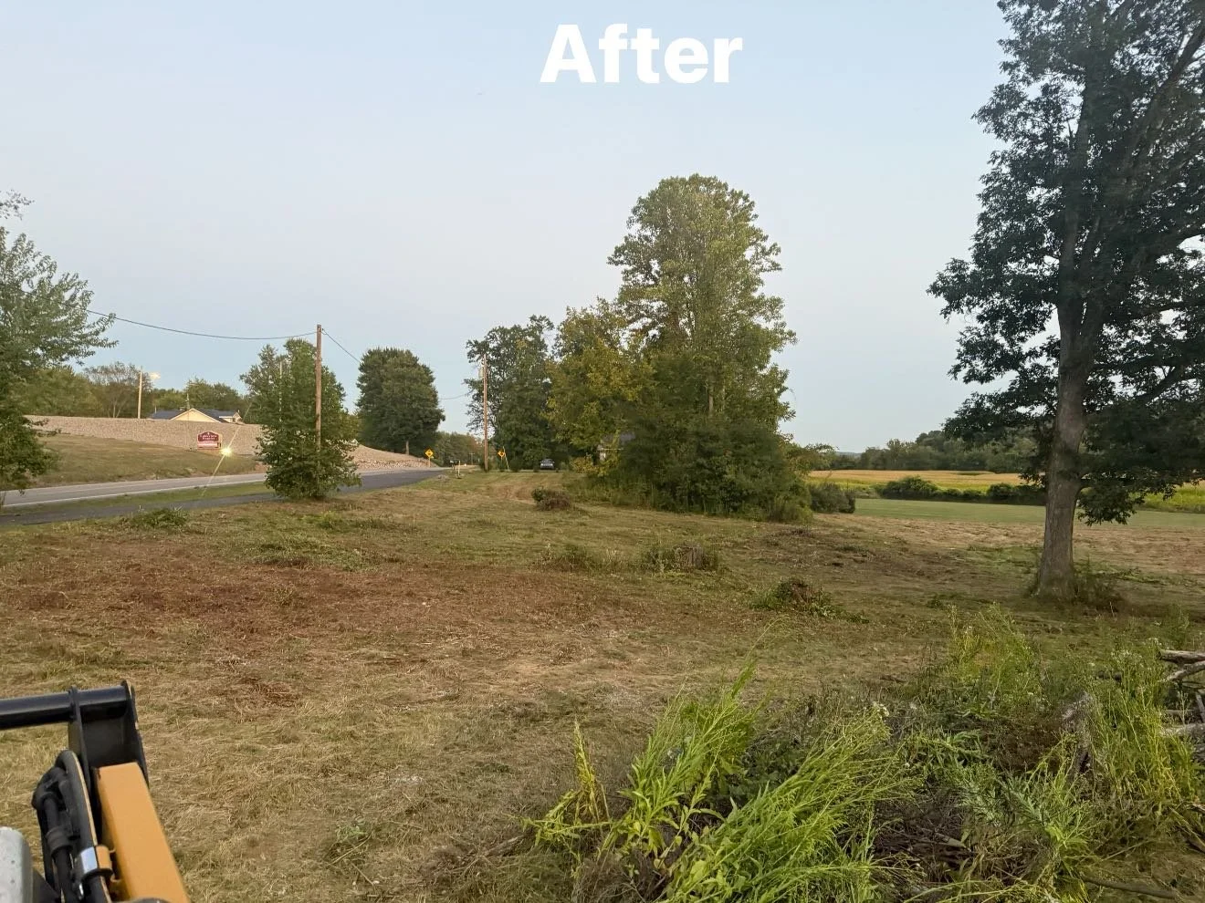 Land Clearing & Brush Hogging