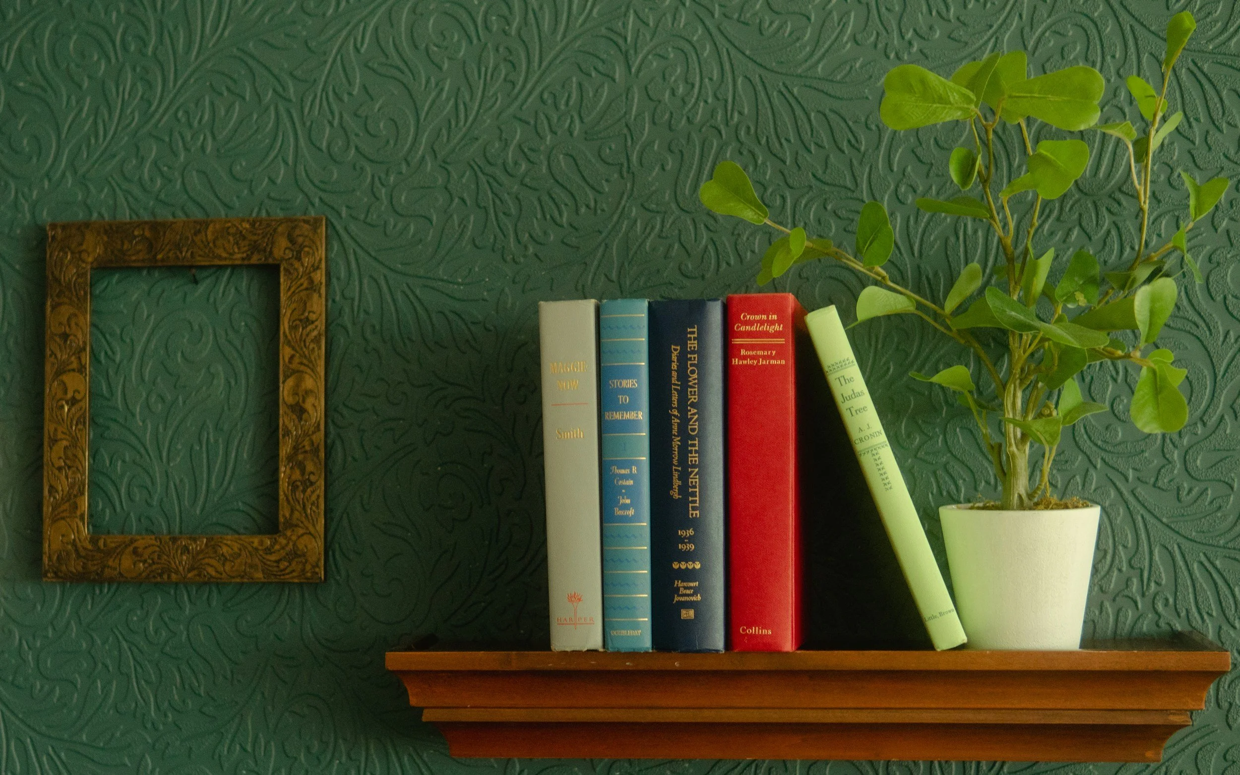 A wooden bookshelf with several old books and a potted apothecary plant in front of a textured turquoise wall.