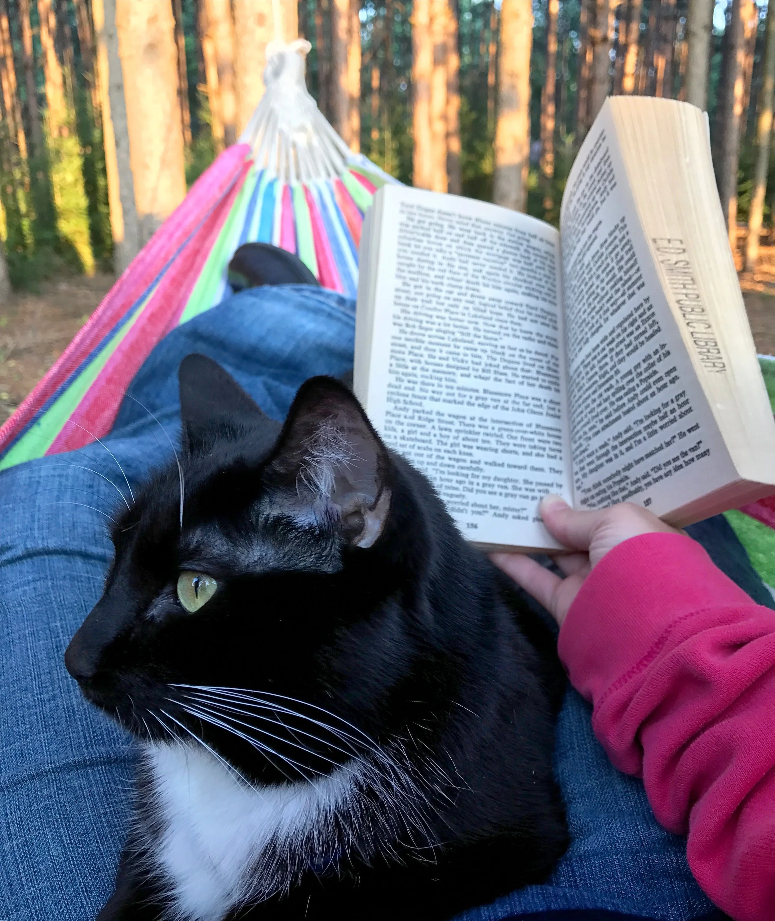 A bookworm woman lying in a colorful hammock in a forest, reading a book, with a black and white cat resting on her lap.