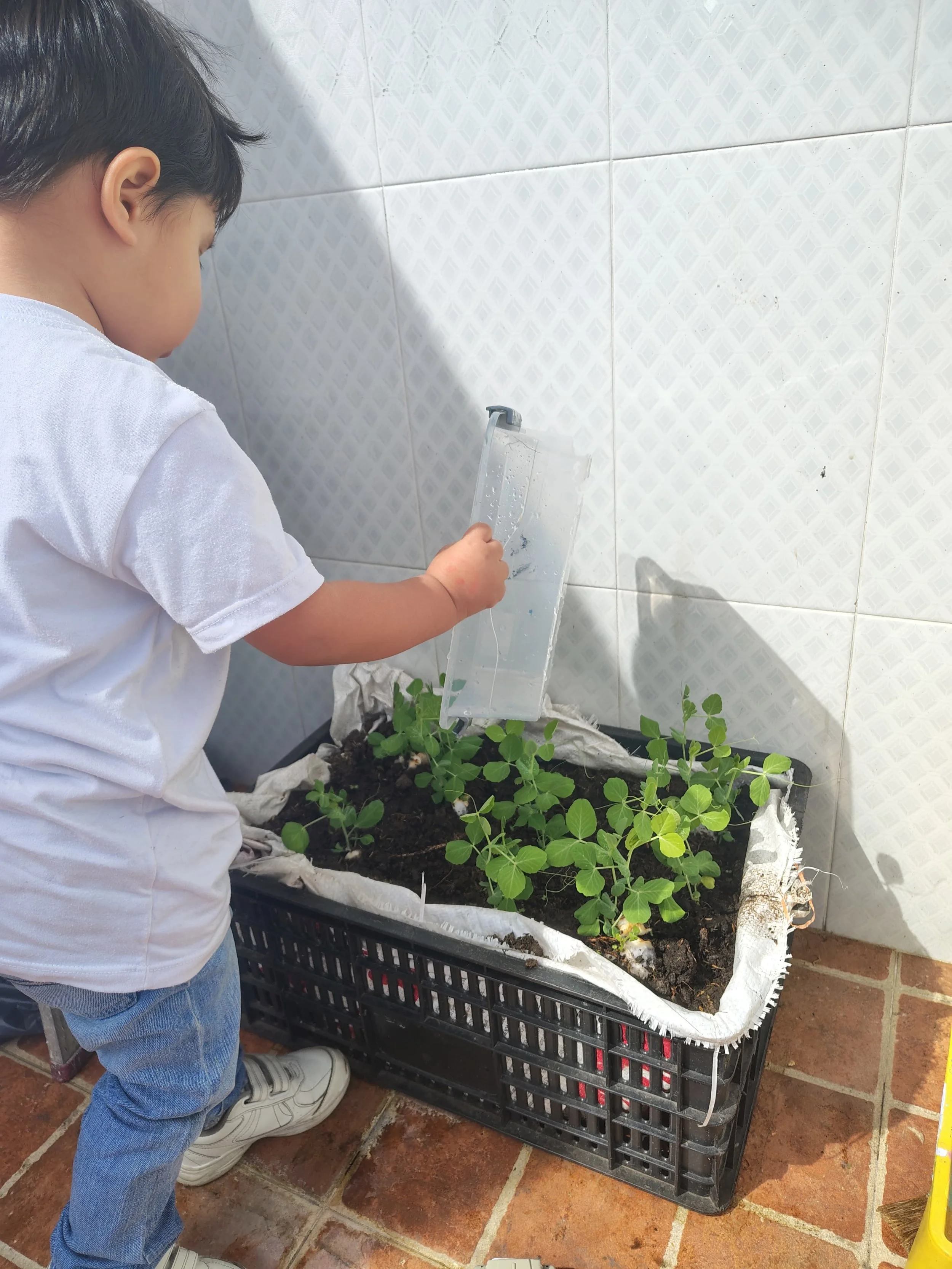 WhatsApp Image 2026-04-16 at 10.12.56 AM.jpeg