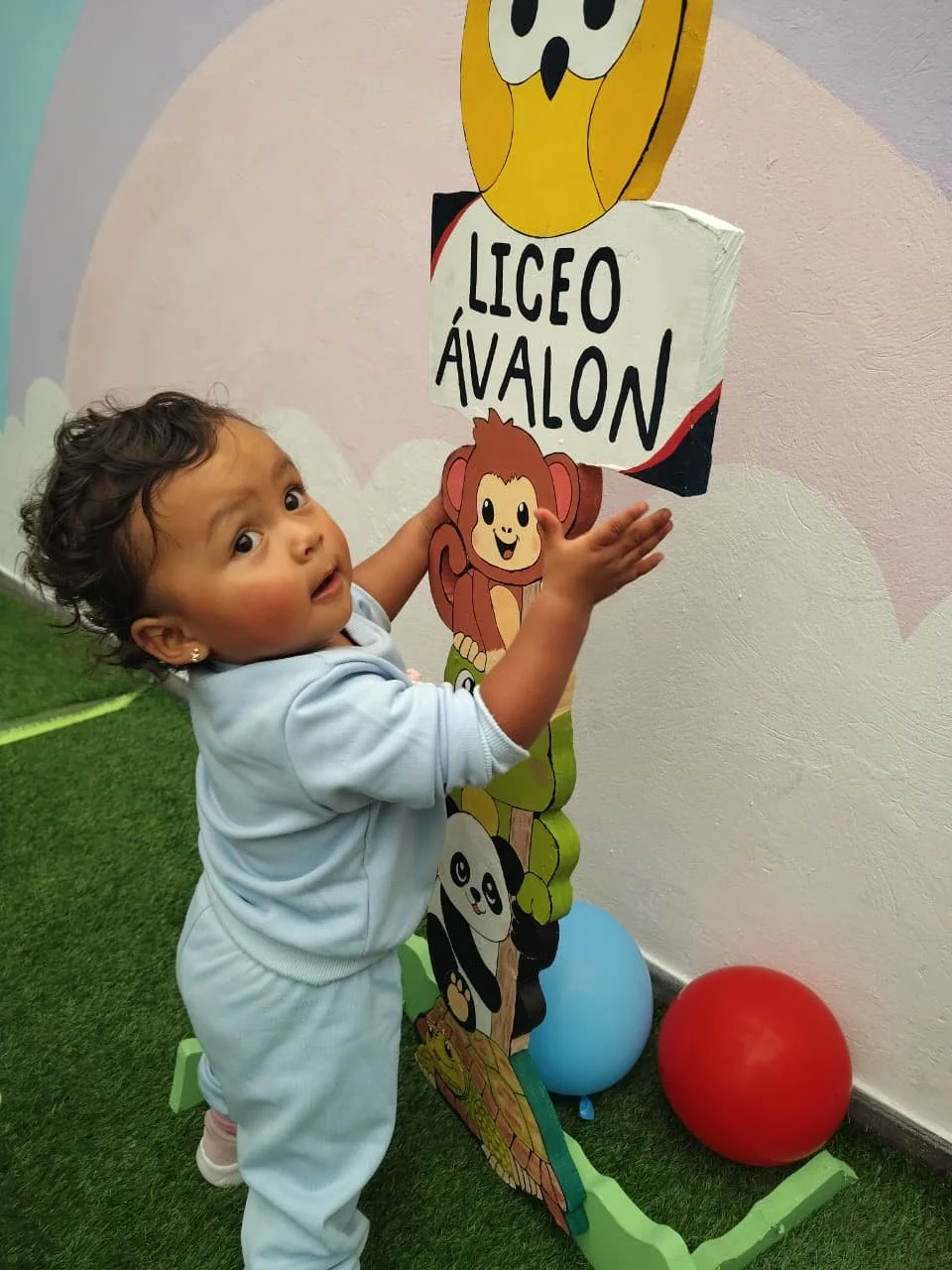 WhatsApp Image 2026-03-14 at 12.31.33 PM.jpeg