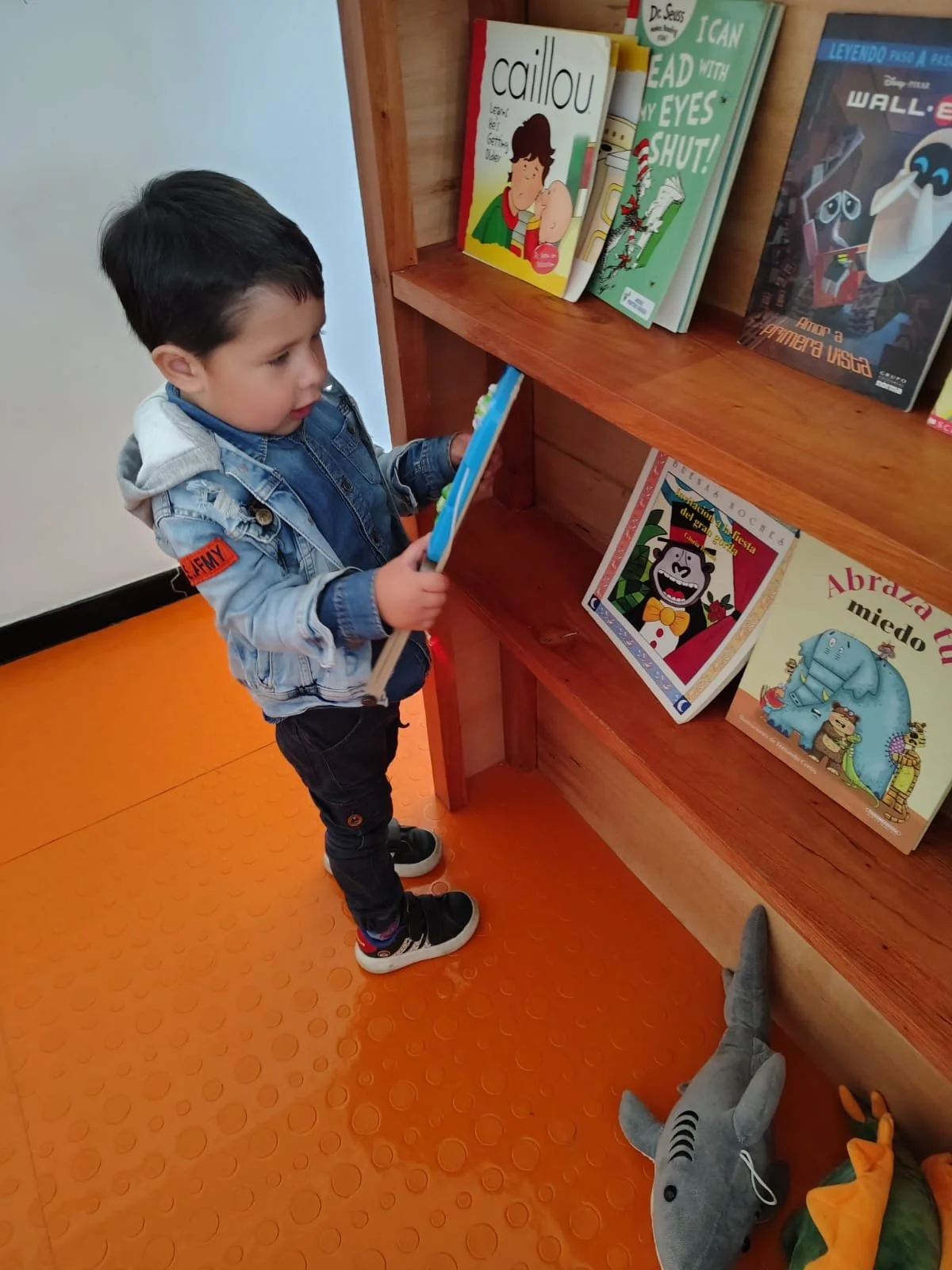 WhatsApp Image 2026-02-05 at 10.40.39 AM.jpeg