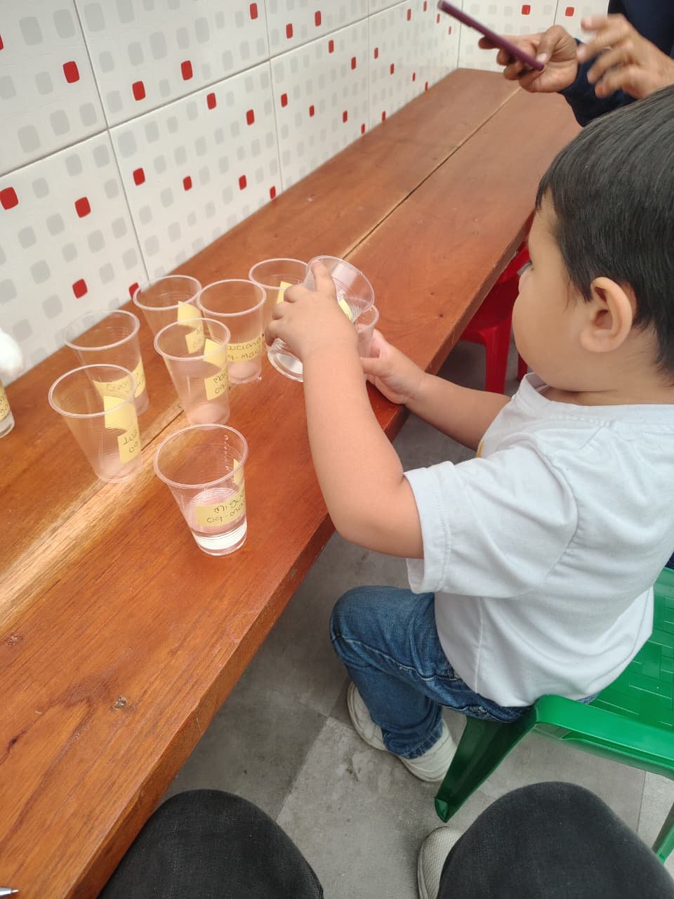 WhatsApp Image 2026-04-16 at 9.29.52 AM (1).jpeg