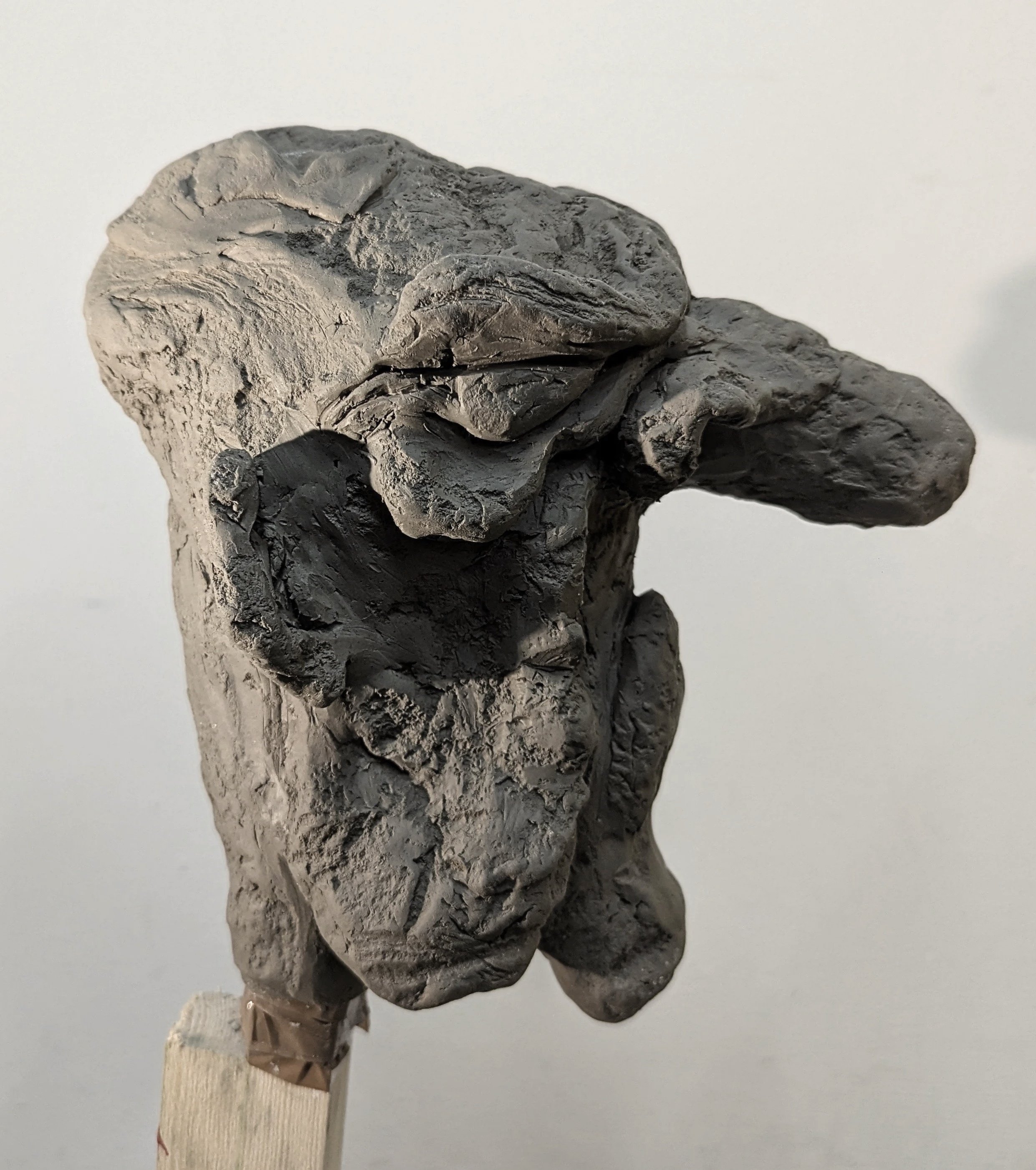Puppet head- Click image to see full project 