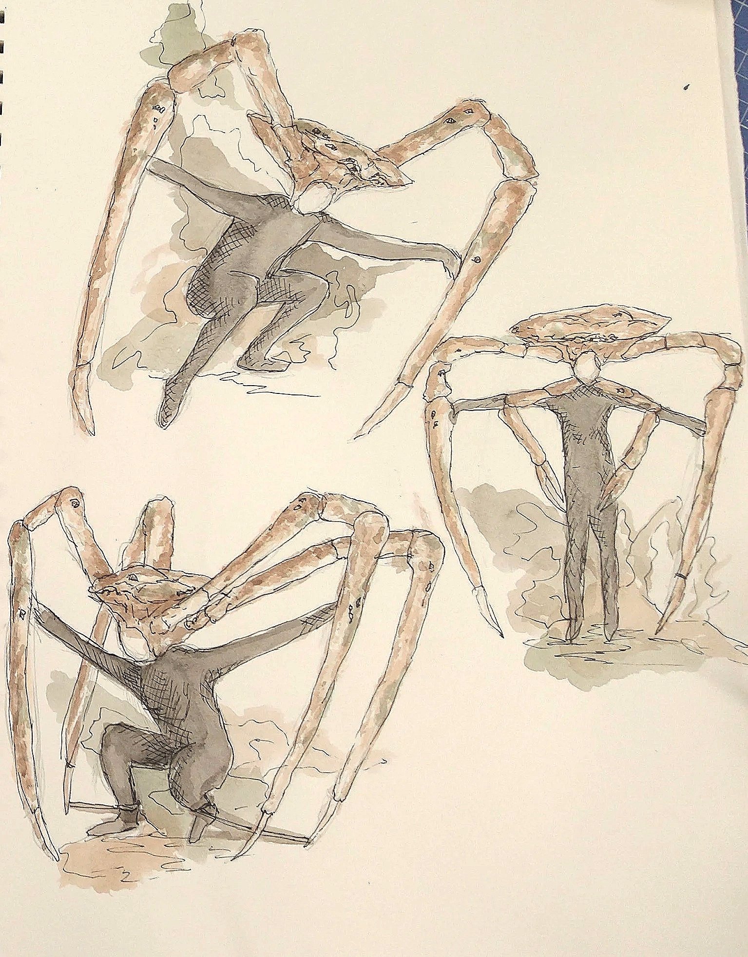 Initial designs 