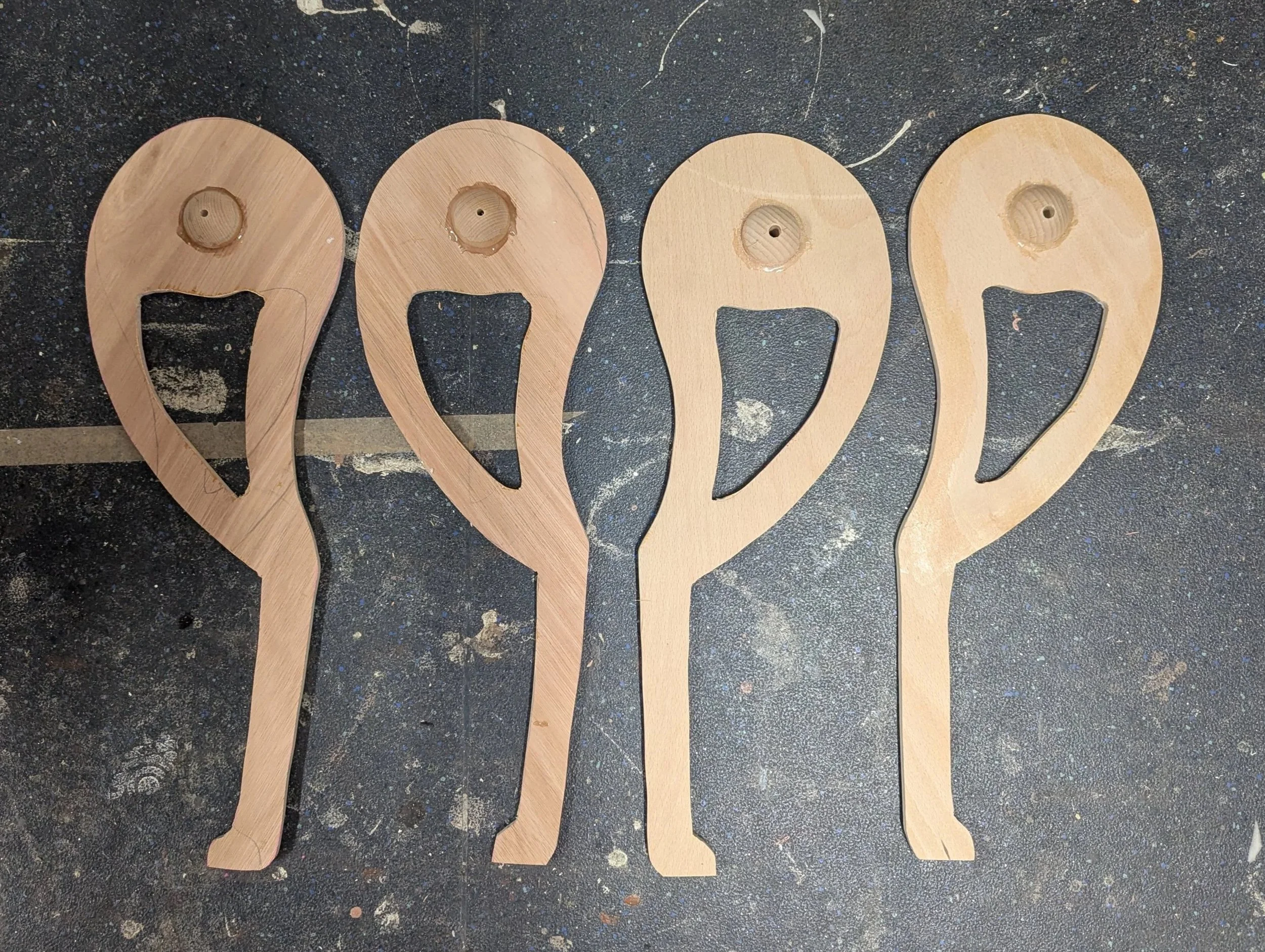 Rat leg cross section 