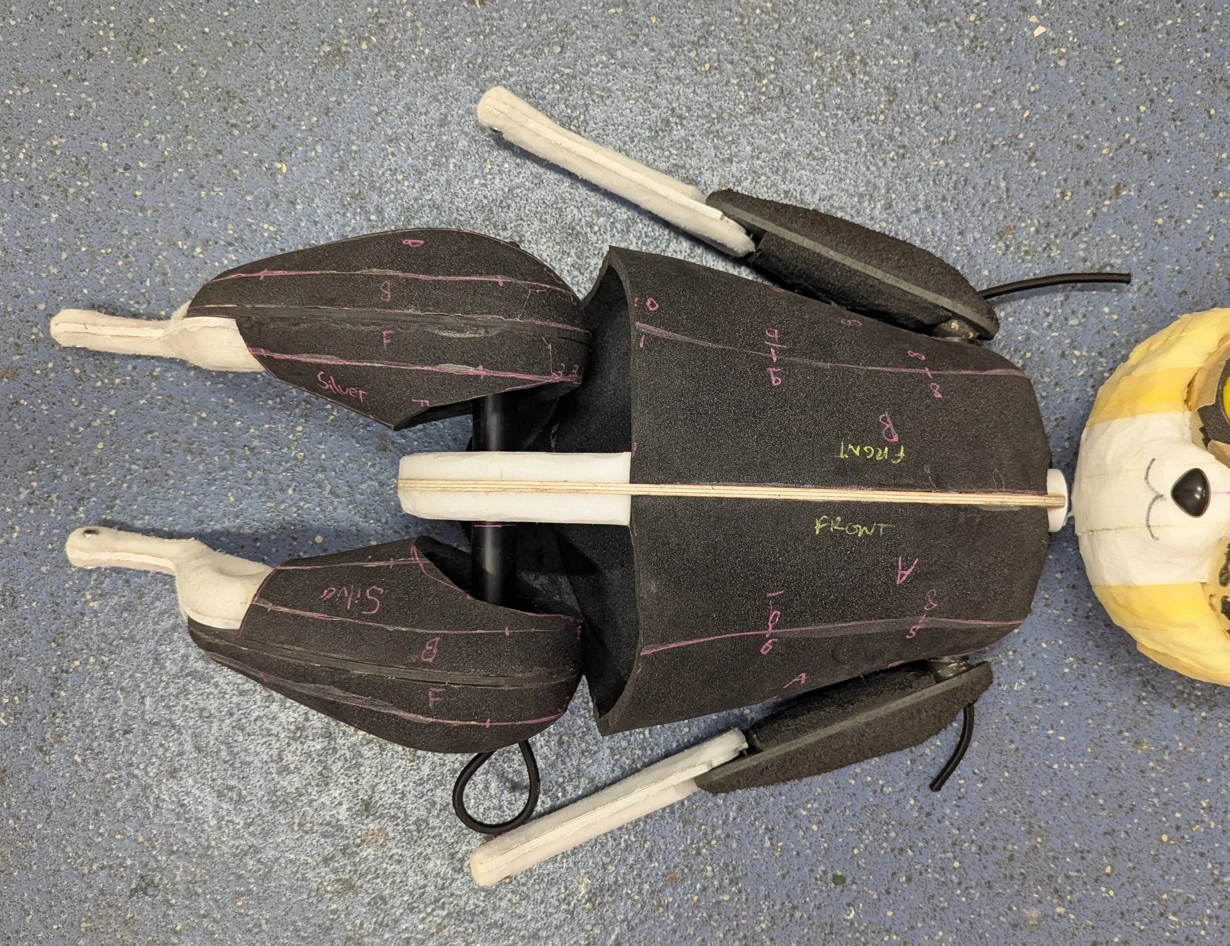 Final cat body 