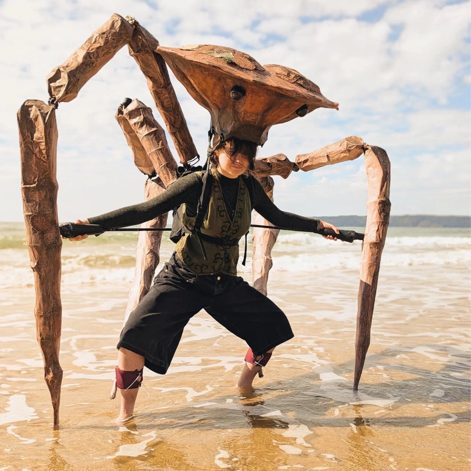 Spider Crab
