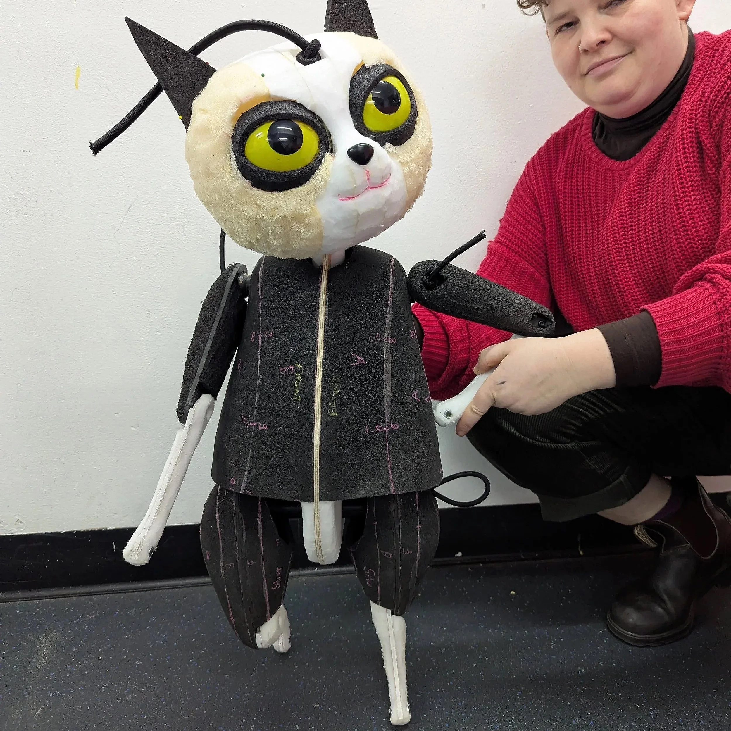 Toto the Ninja cat