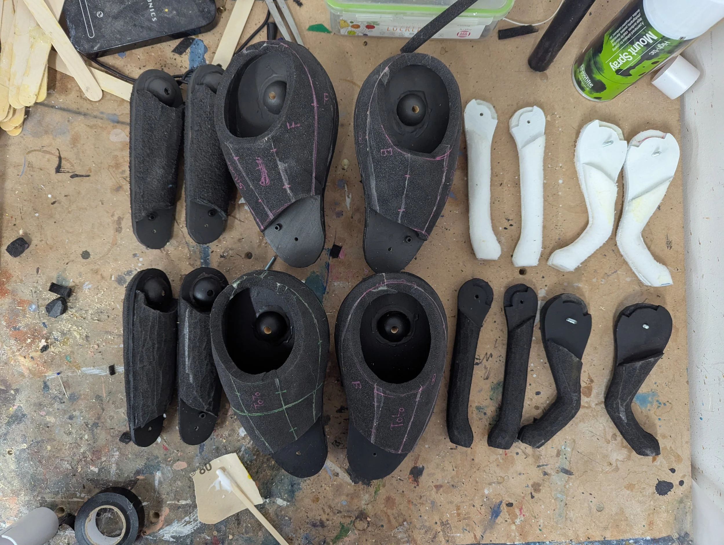 Cat body full limb joints