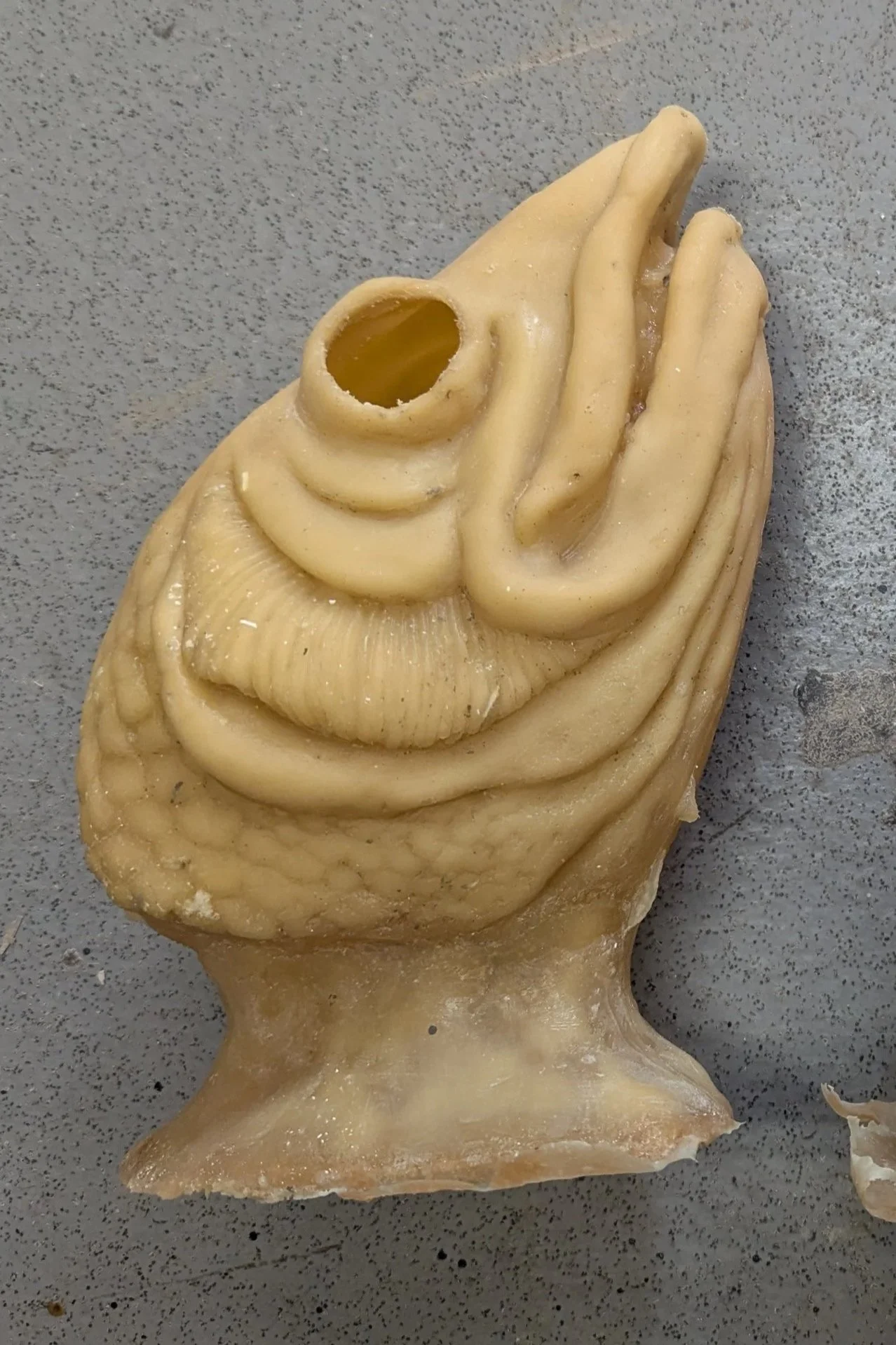 Latex cast