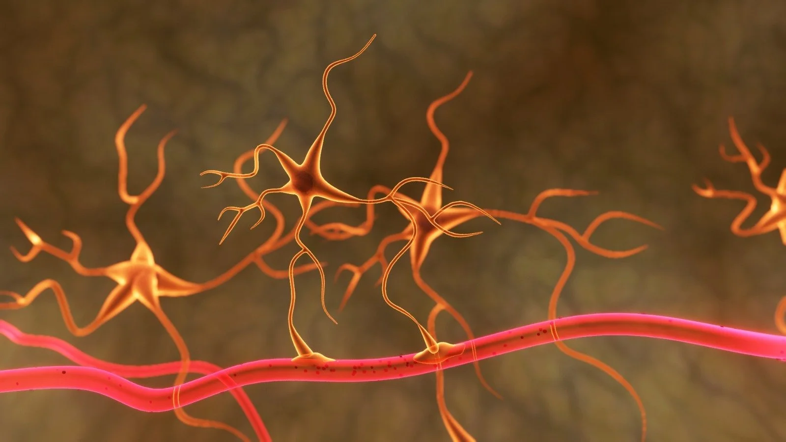 Illustration of neurons with their cell bodies and long, branching dendrites, connected to a blood vessel.