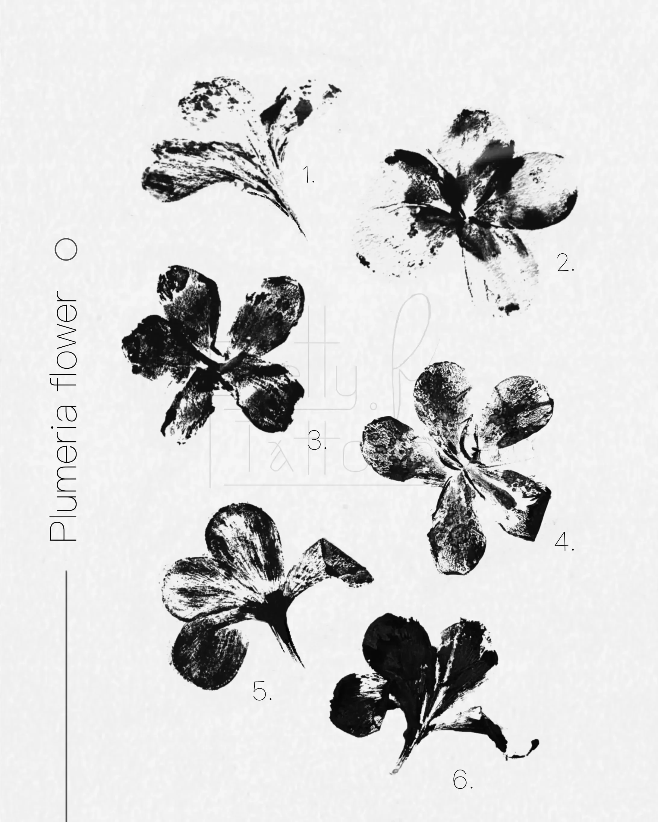 Plumeria Flower - imprint