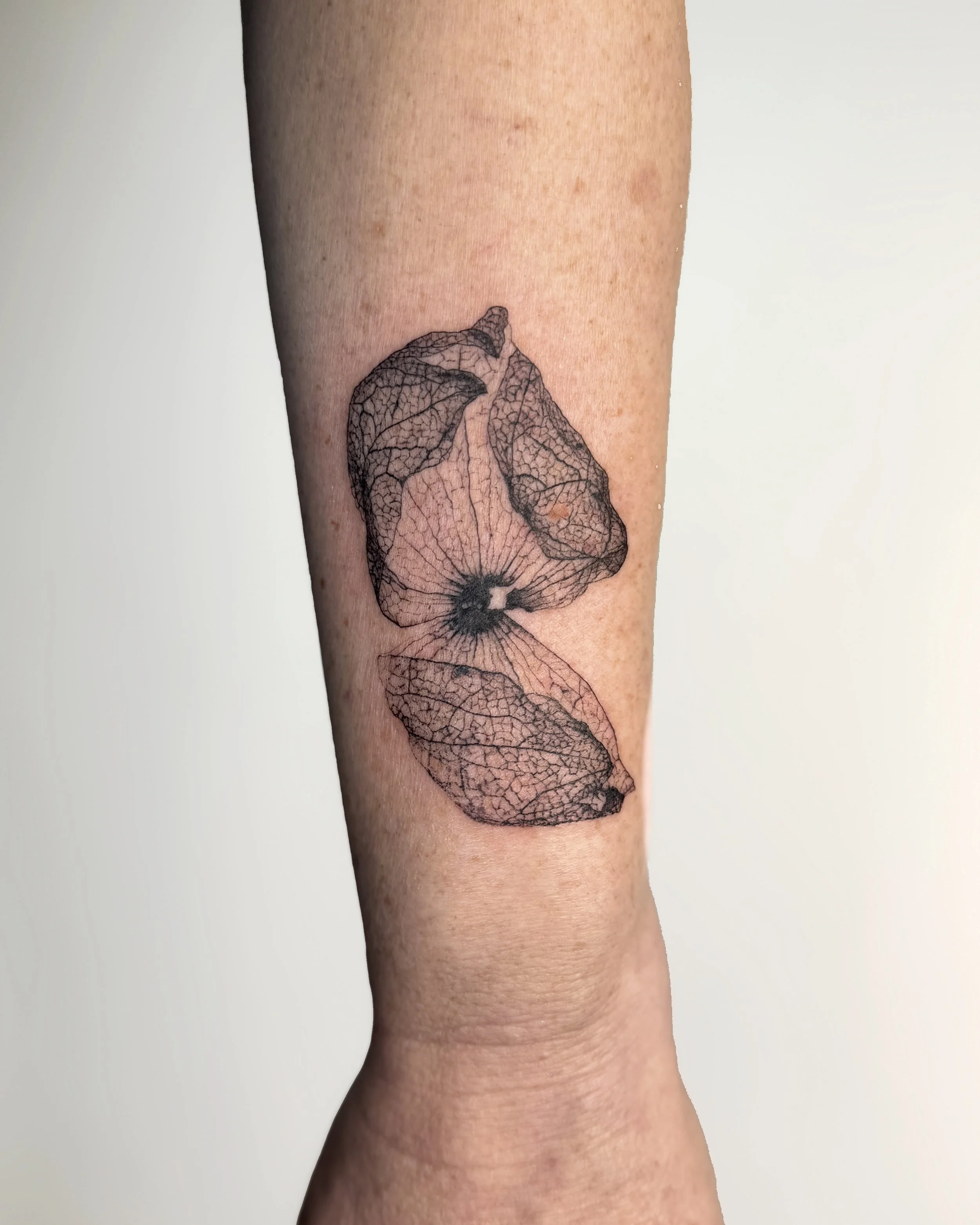 Nature-based tattoo design developed from plant imprint, botanical tattoo Vancouver. Microrealistic physalis tattoo