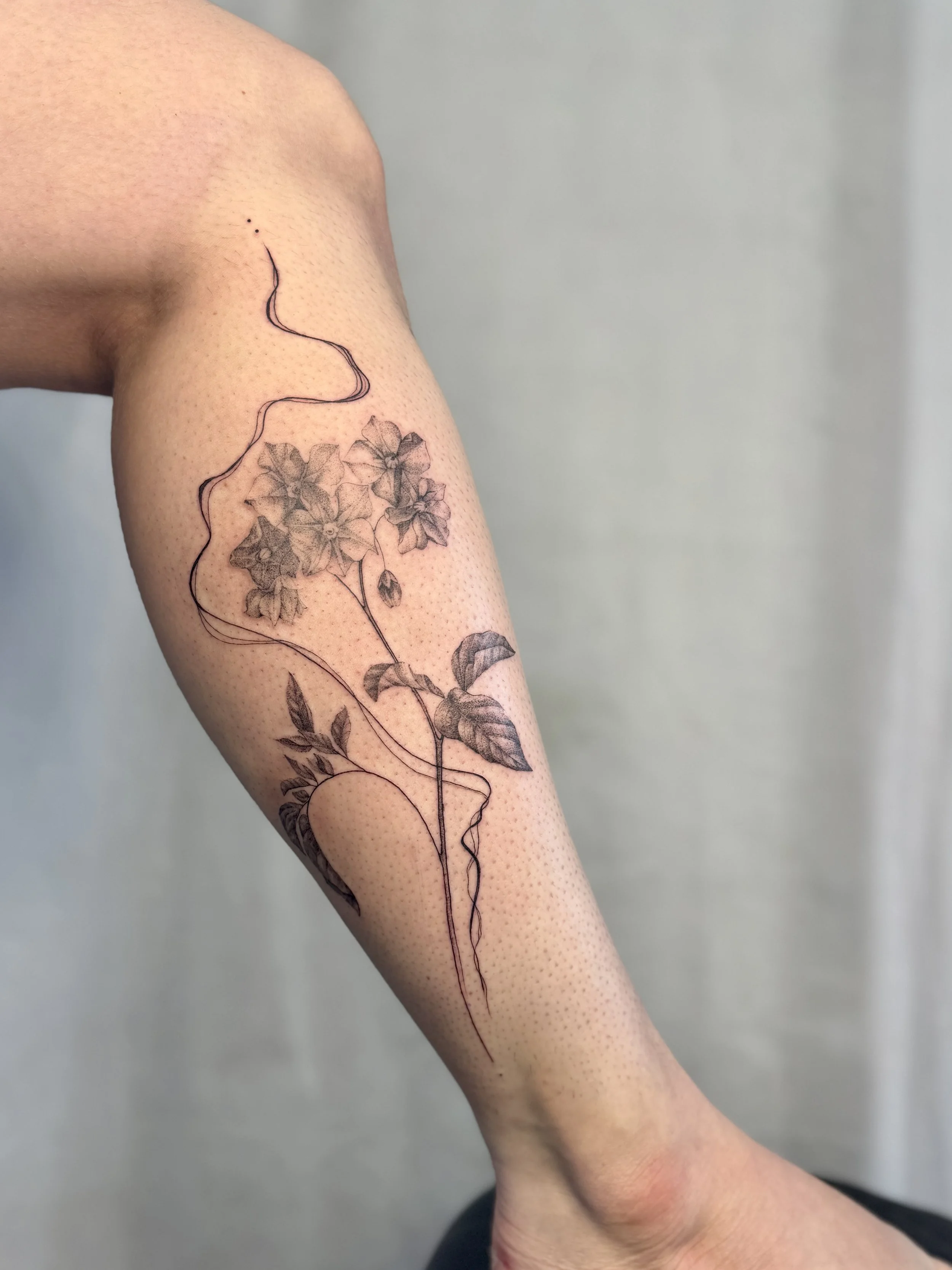 Potato flower abstract tattoo.
