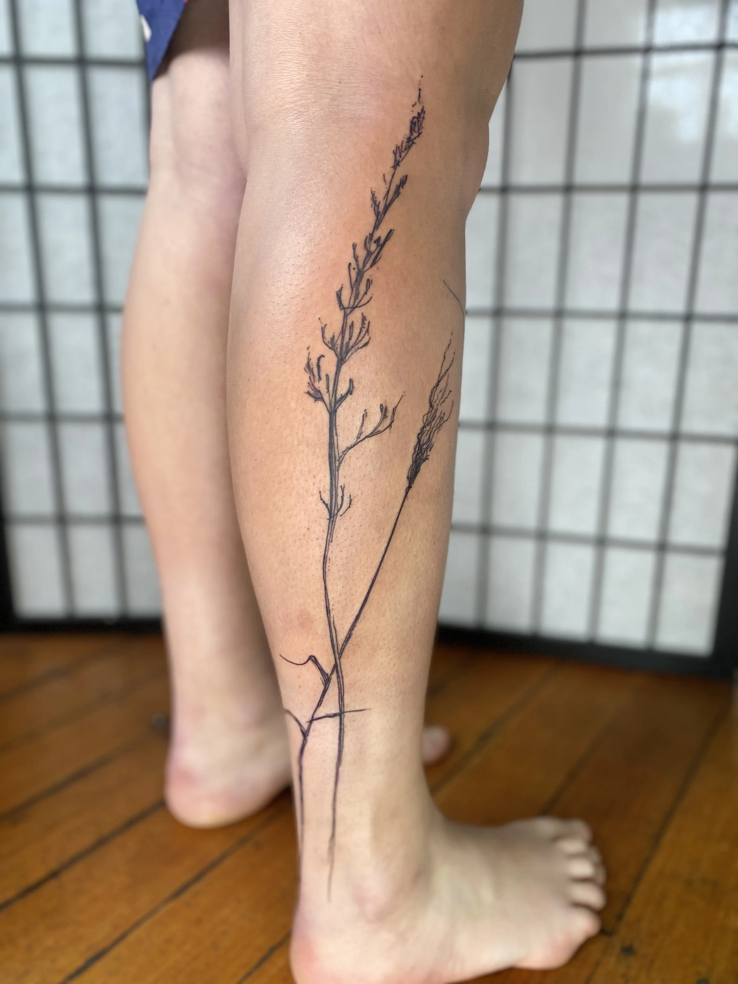 native sketchy style illustrative grasses and flowers. Botanical tattoo vancouver by Petra Zakouca