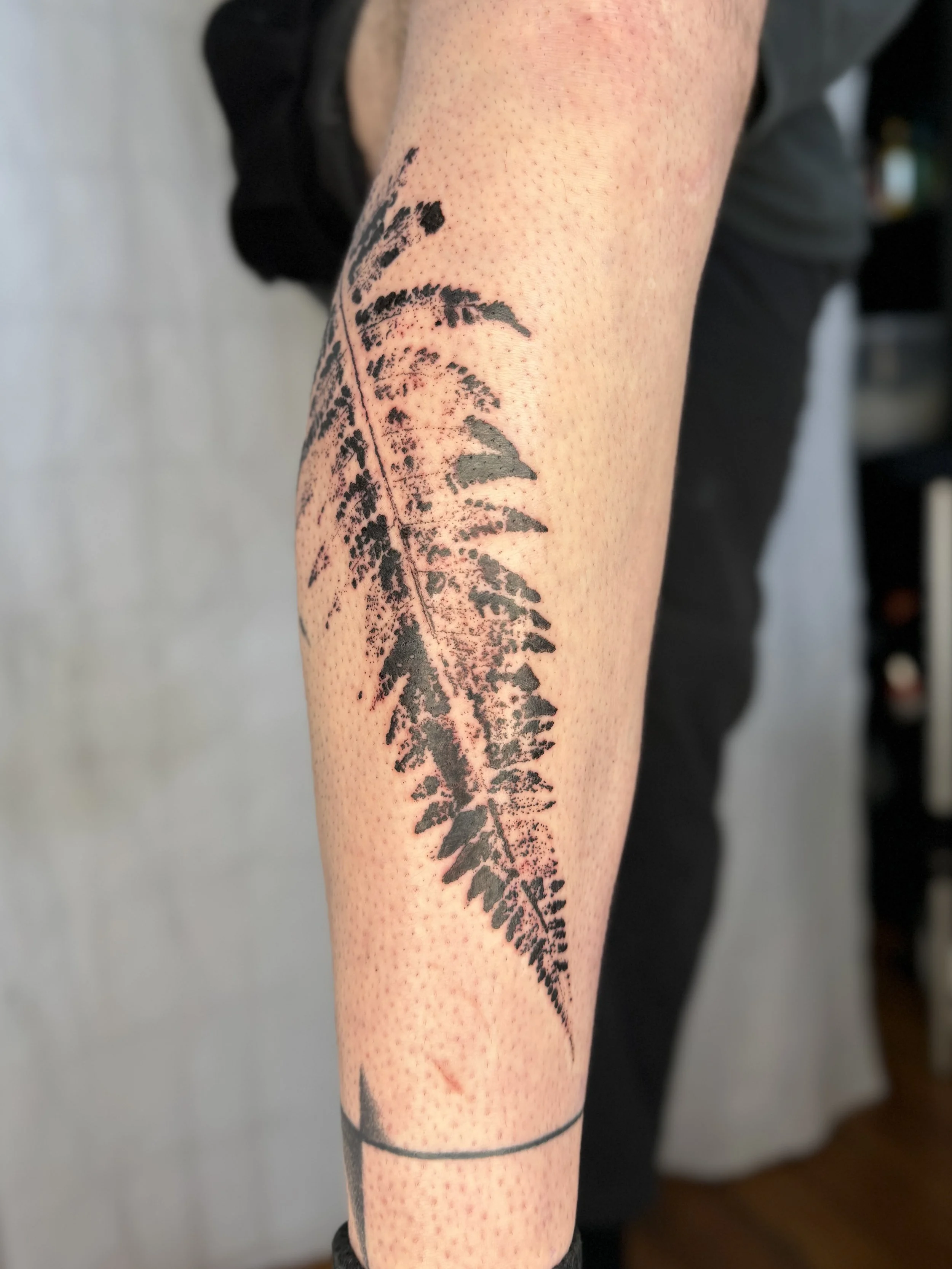 Tattoo of a black fern leaf imprint on a person's forearm. Botanical abstract illustration