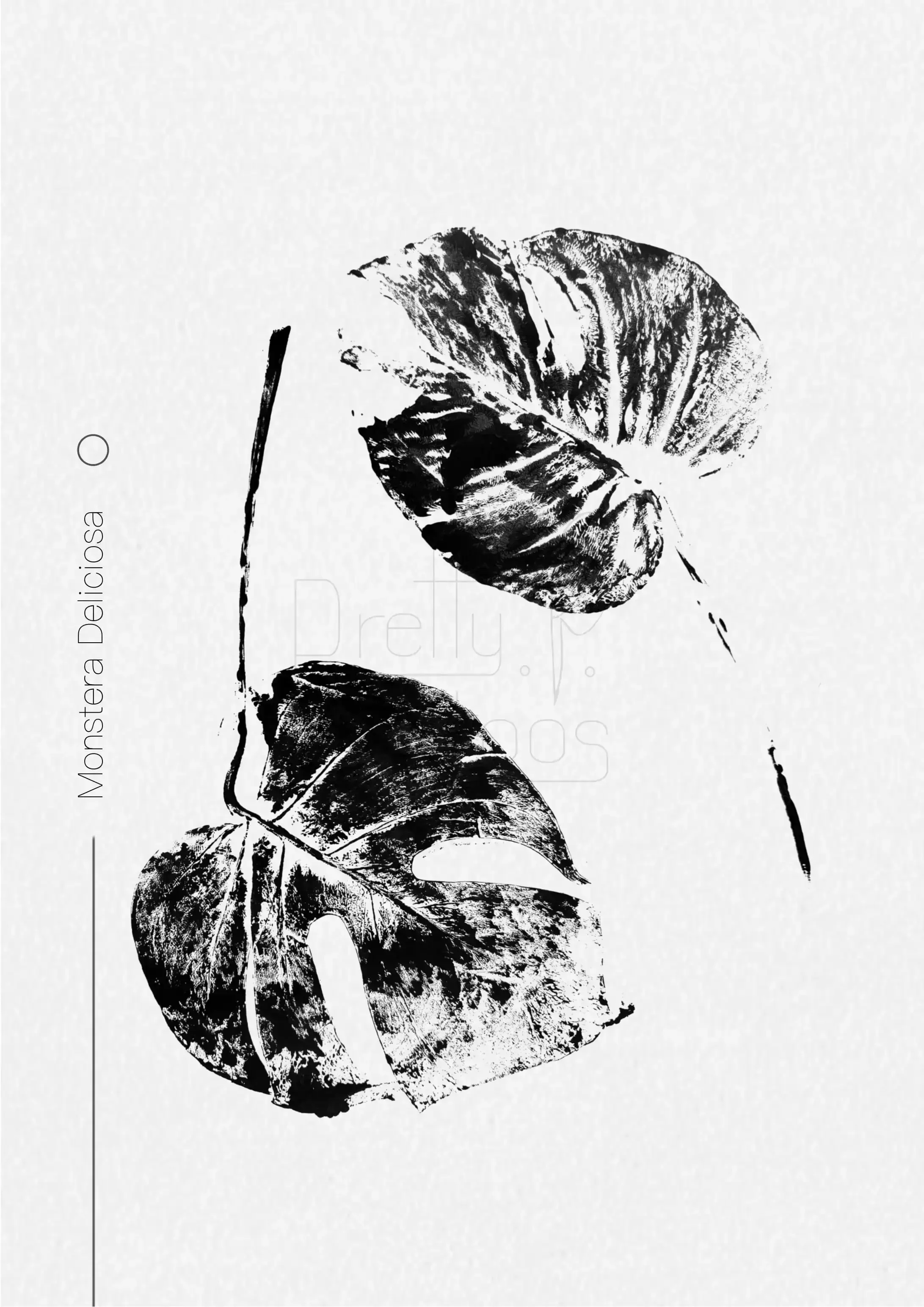 Monstera - imprints