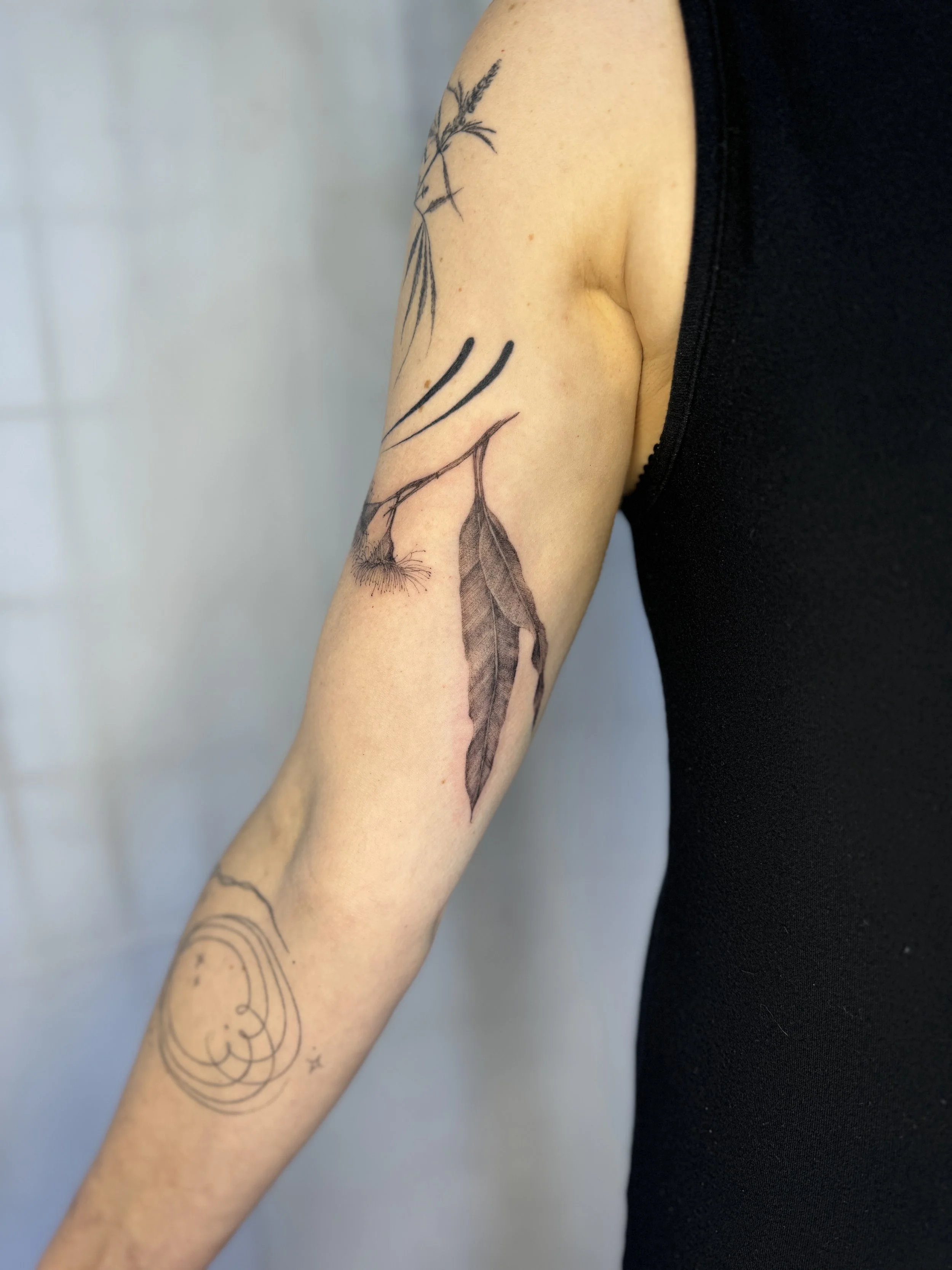 Tattoo of a realistic eucalyptus flower and leaf. Nature-inspired abstract tattoo with fine line detail, Vancouver BC